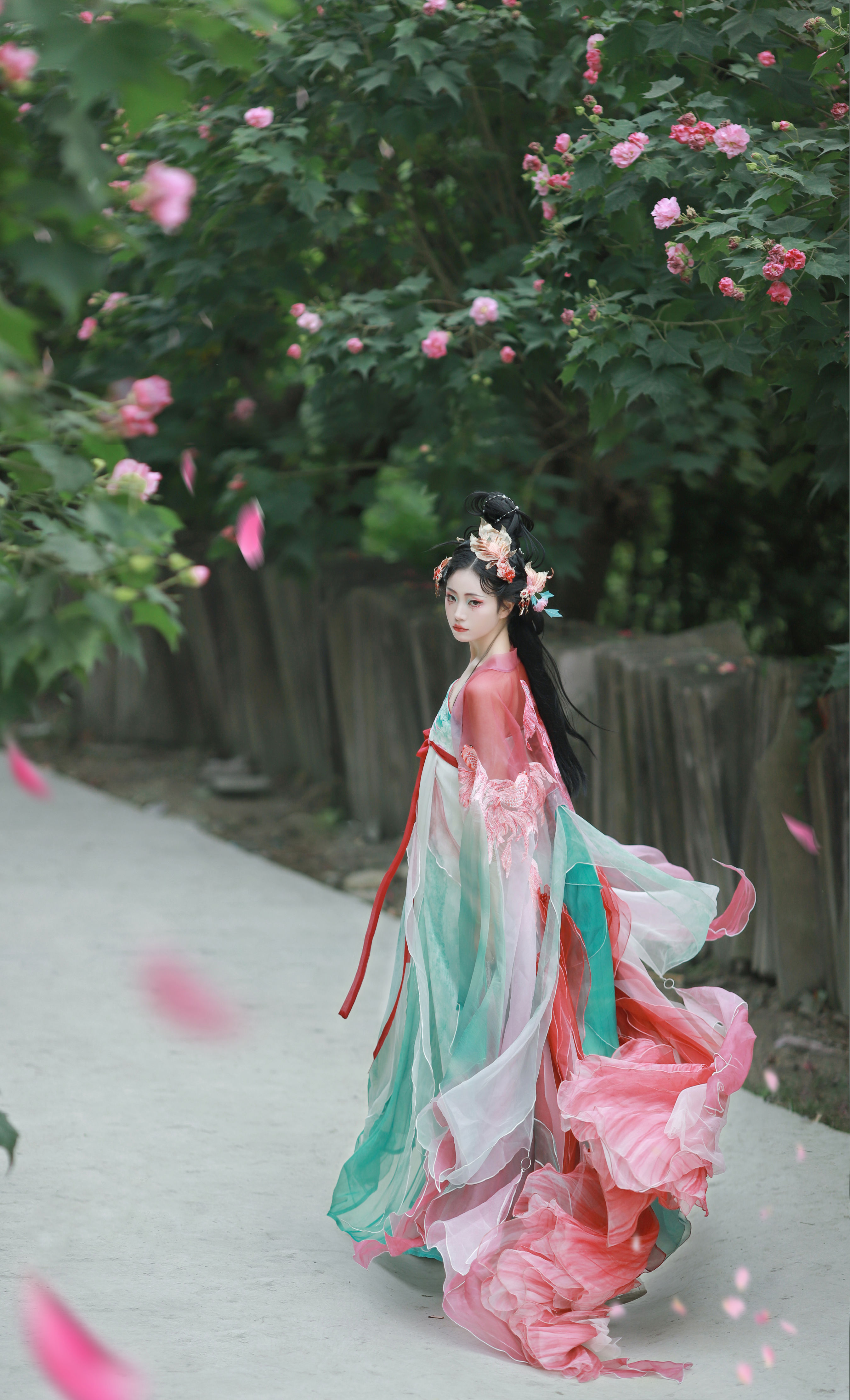 锦鲤