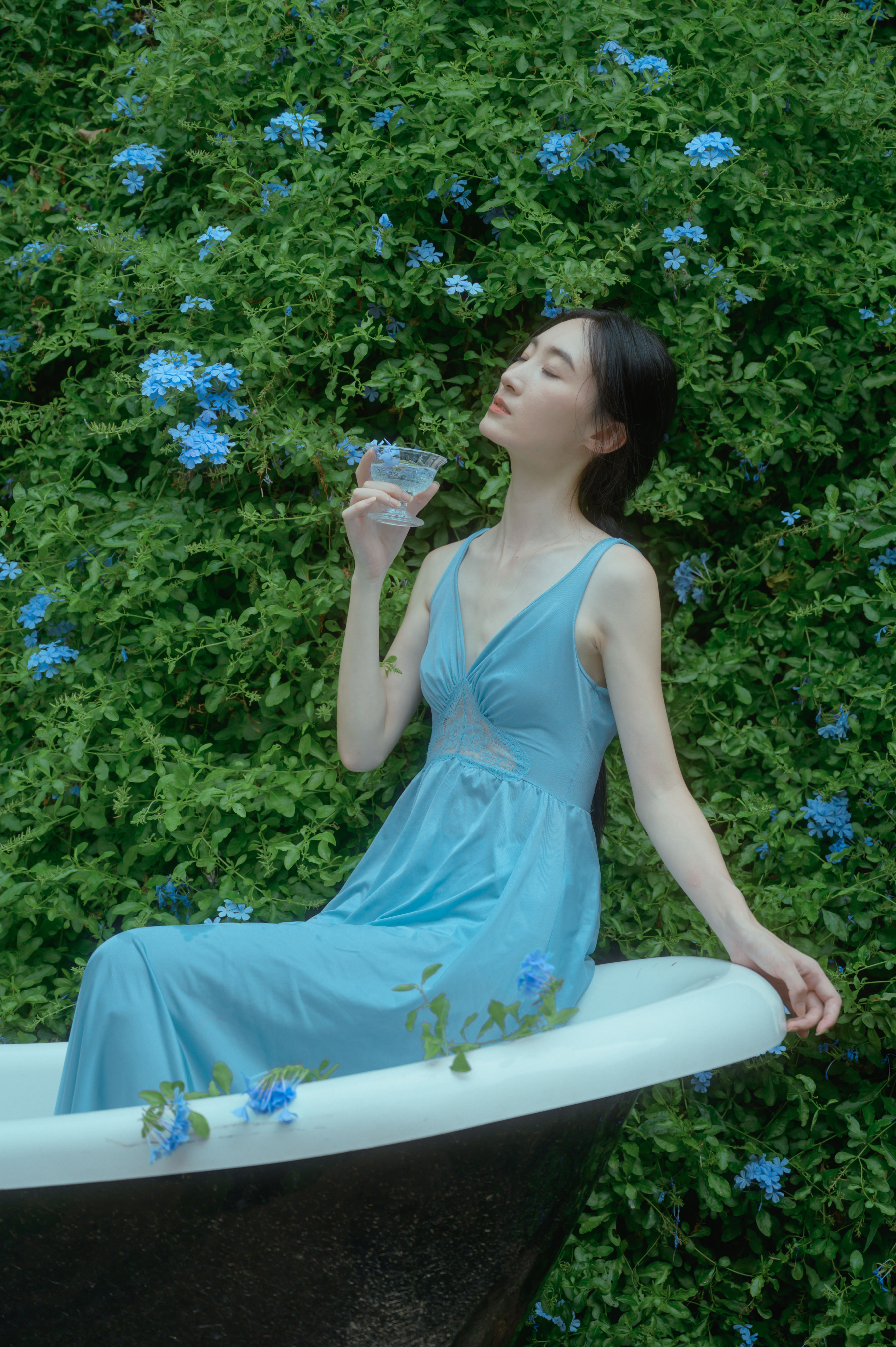 尤里CC_阿吉缘子《夏天与蓝雪花》美图作品图片1
