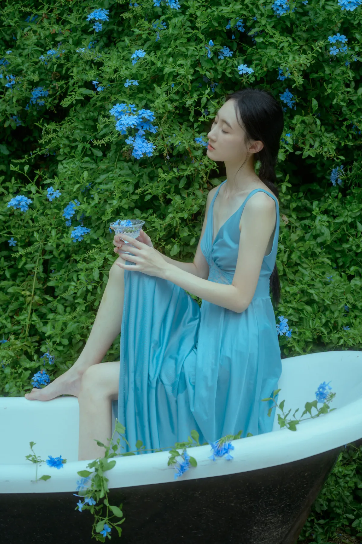 尤里CC_阿吉缘子《夏天与蓝雪花》美图作品图片2
