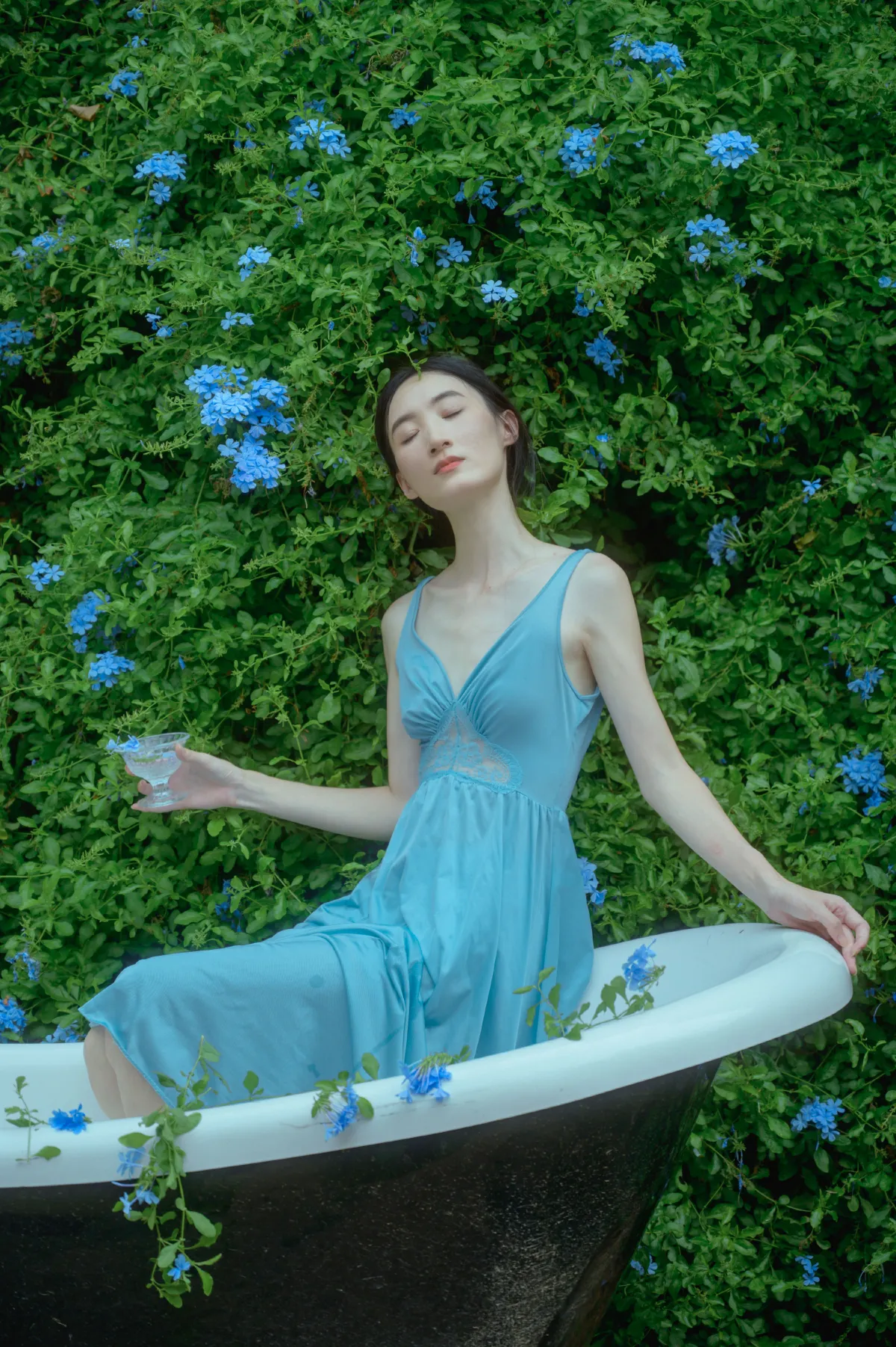 夏天与蓝雪花