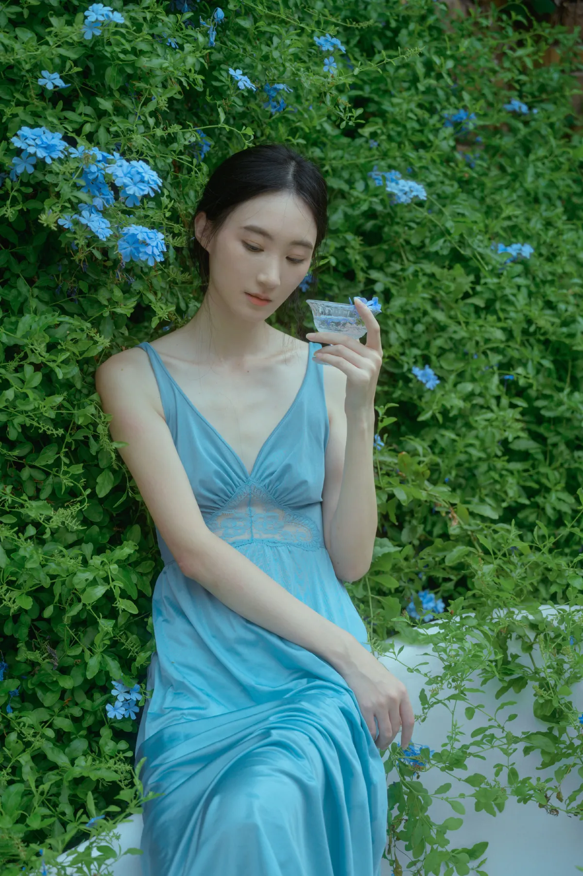夏天与蓝雪花