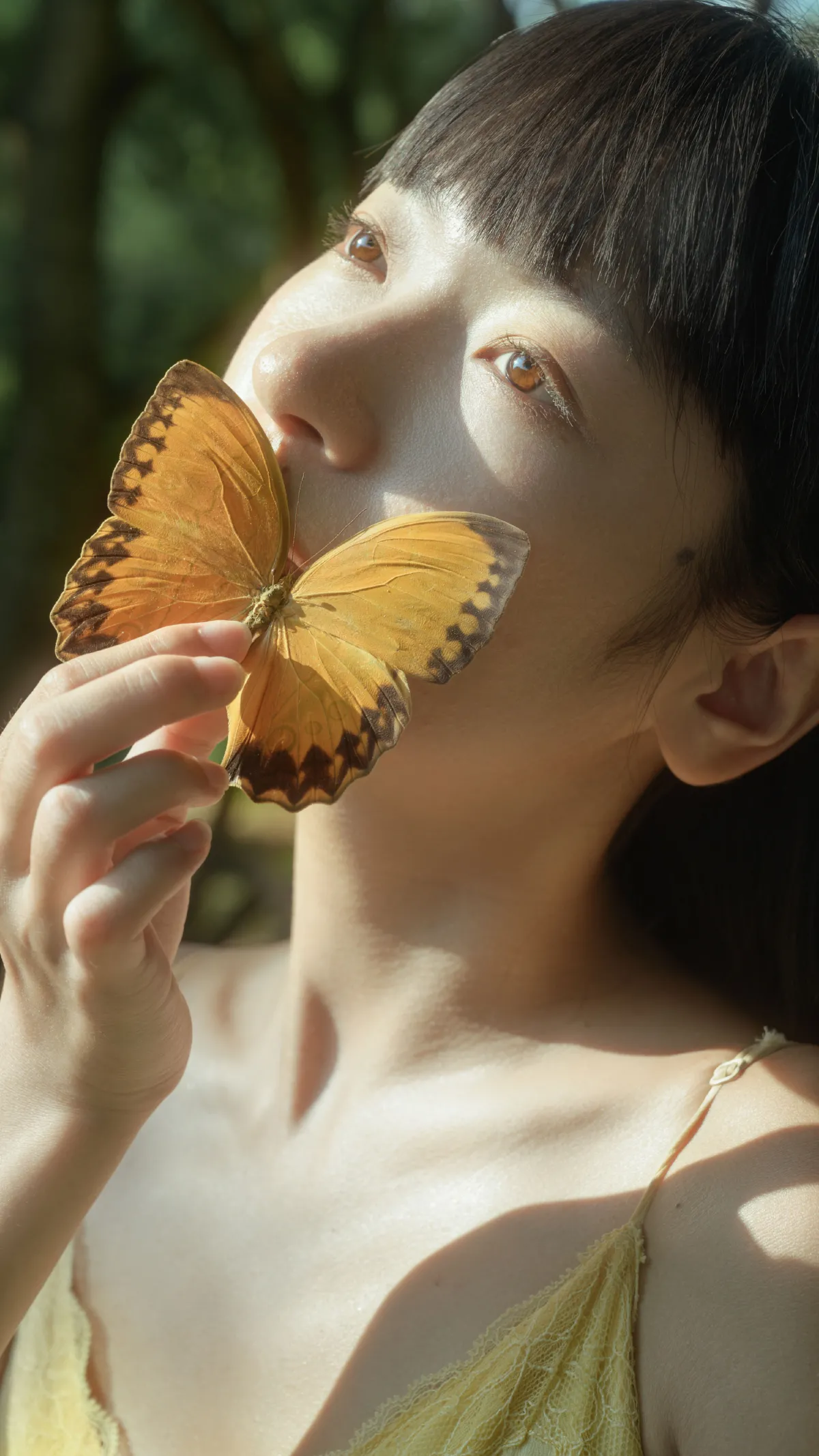 丁达尔树林