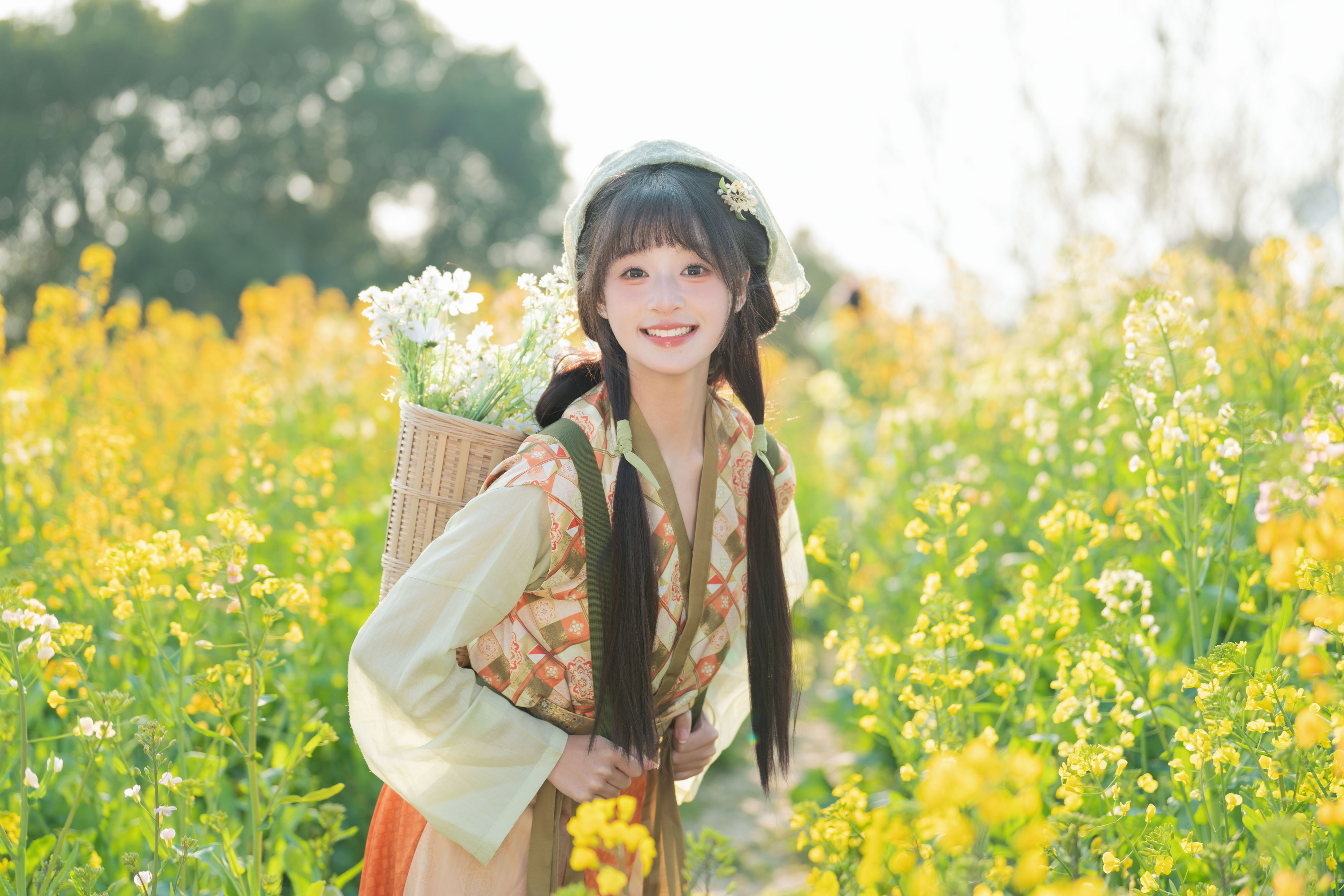 油菜花