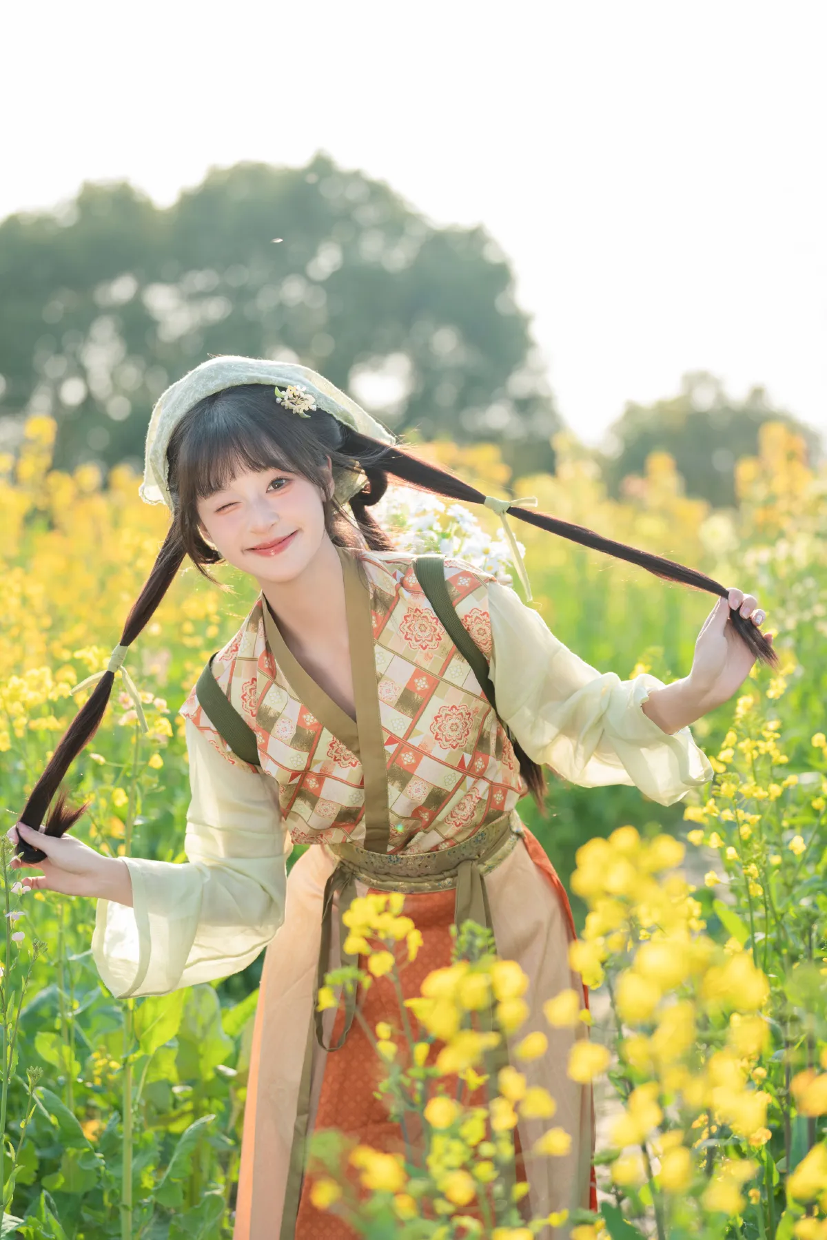 油菜花
