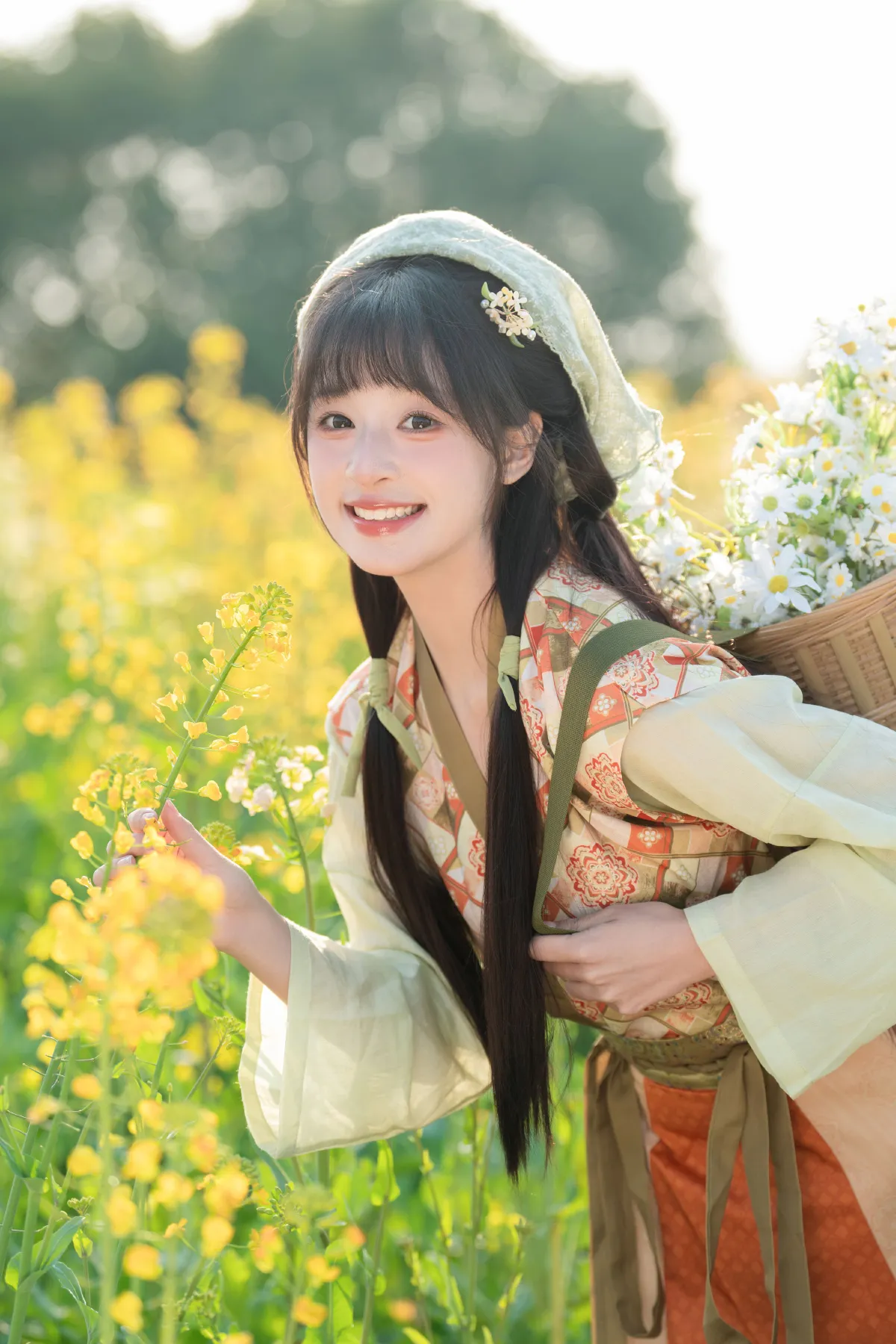 油菜花