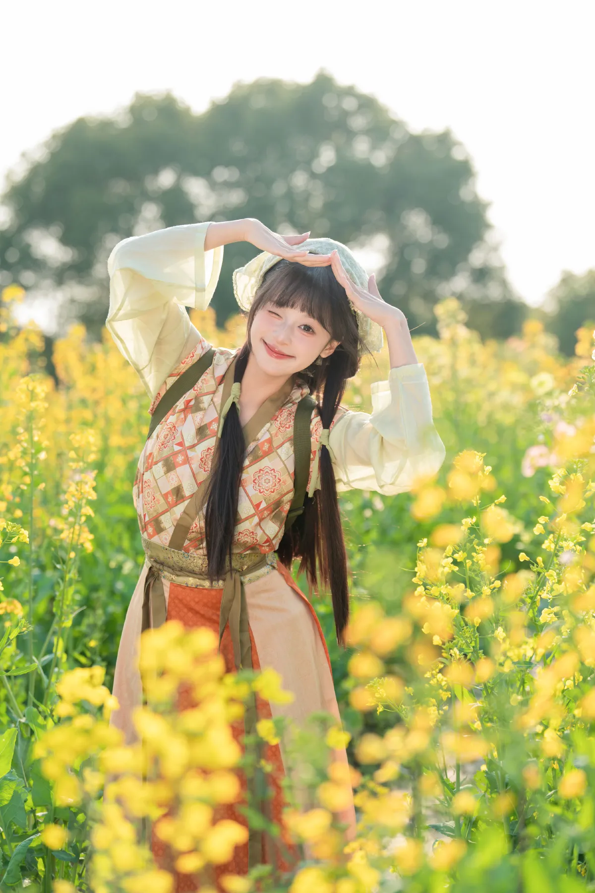 油菜花