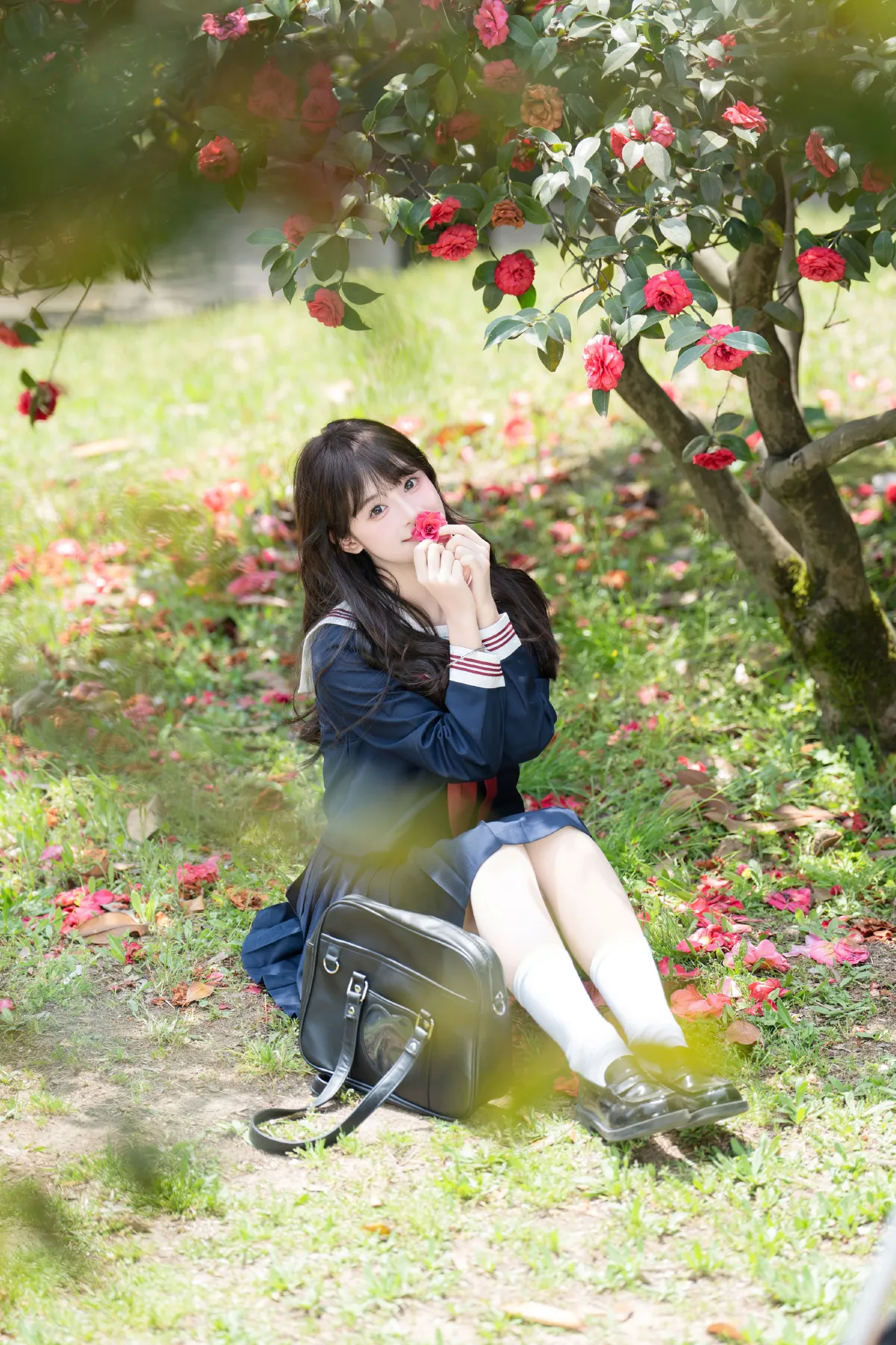 山茶花的花语是