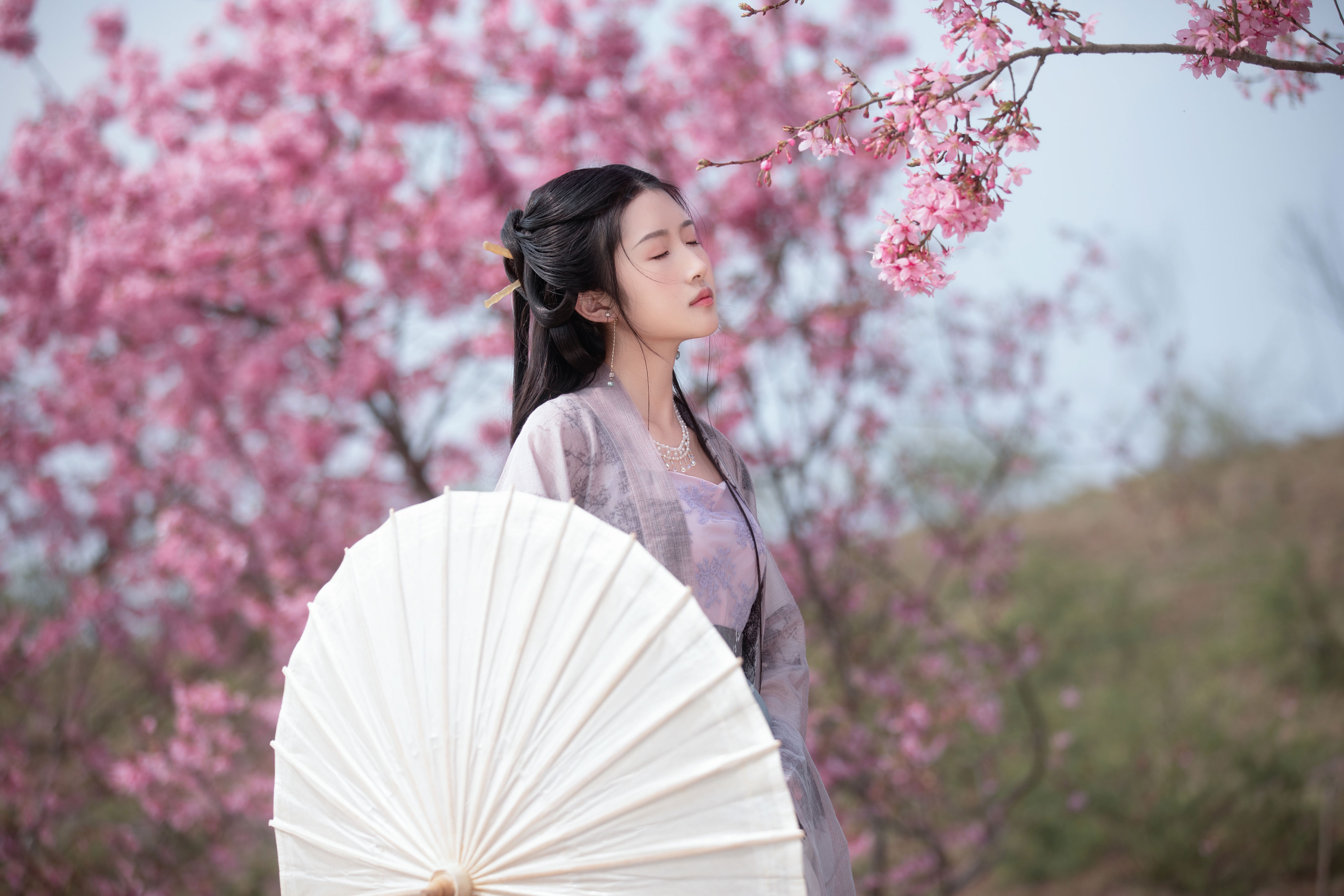 春樱