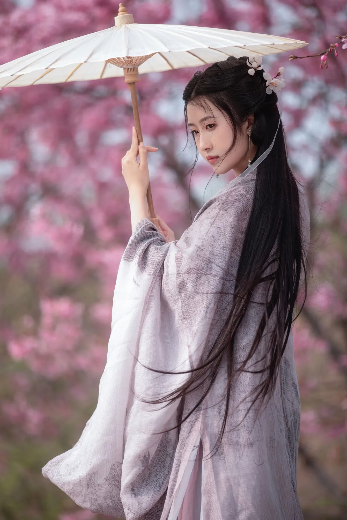 春樱