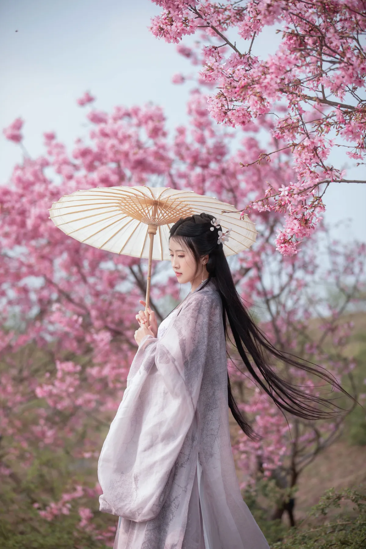 春樱