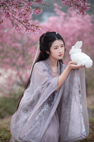 春樱