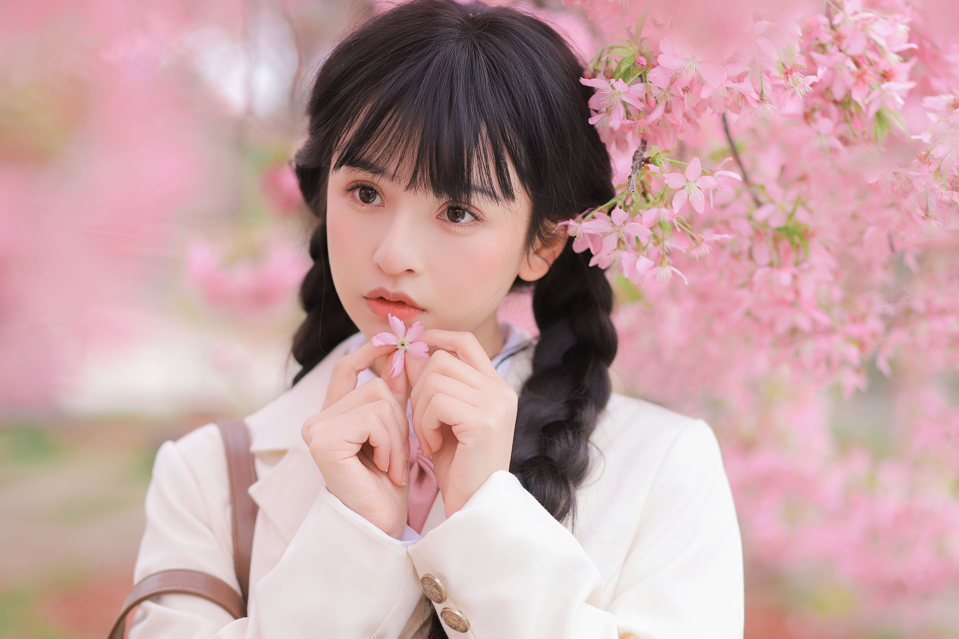 樱花树下