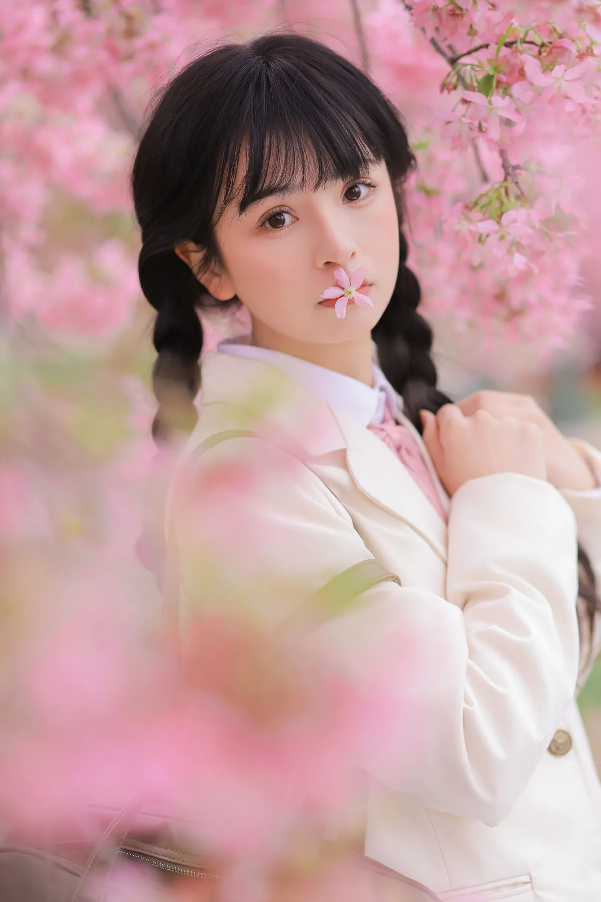 樱花树下