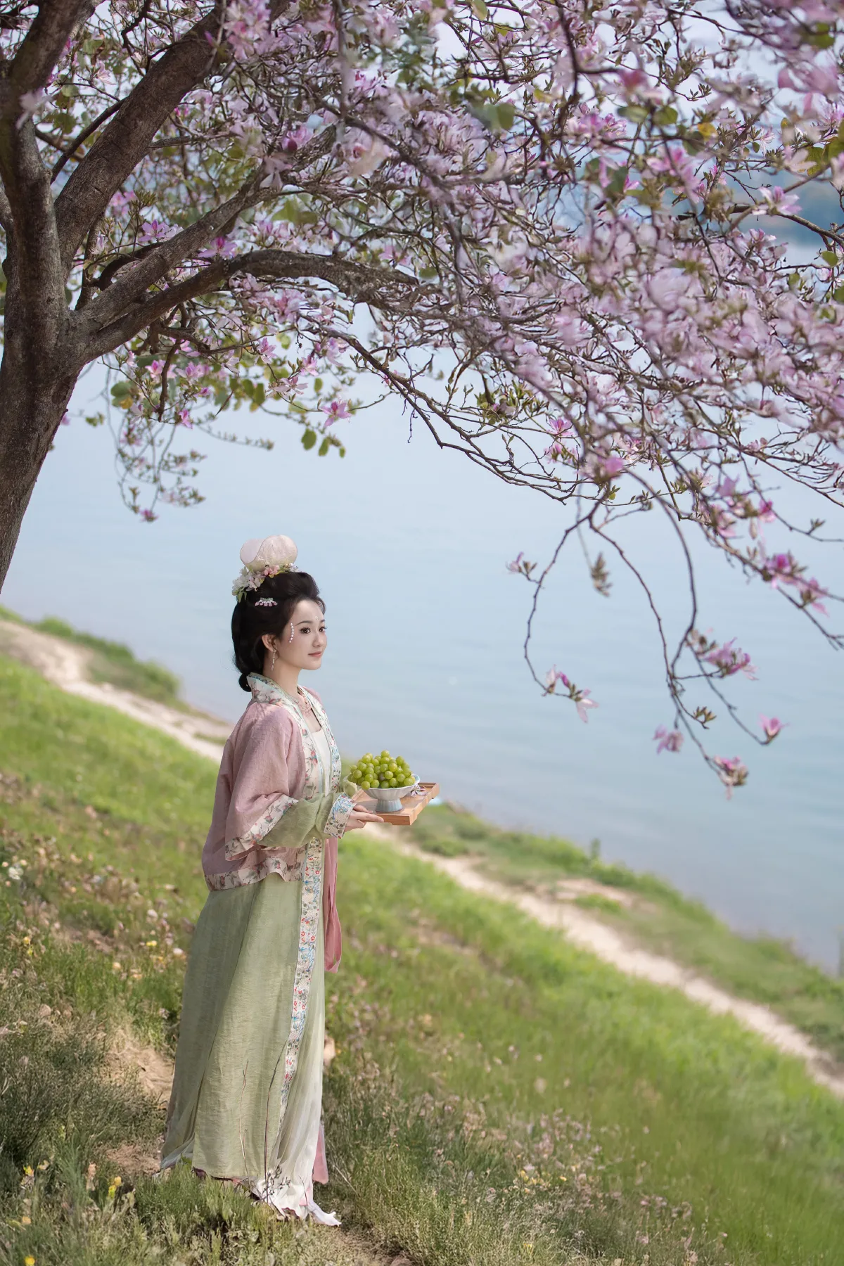 芳菲满袖