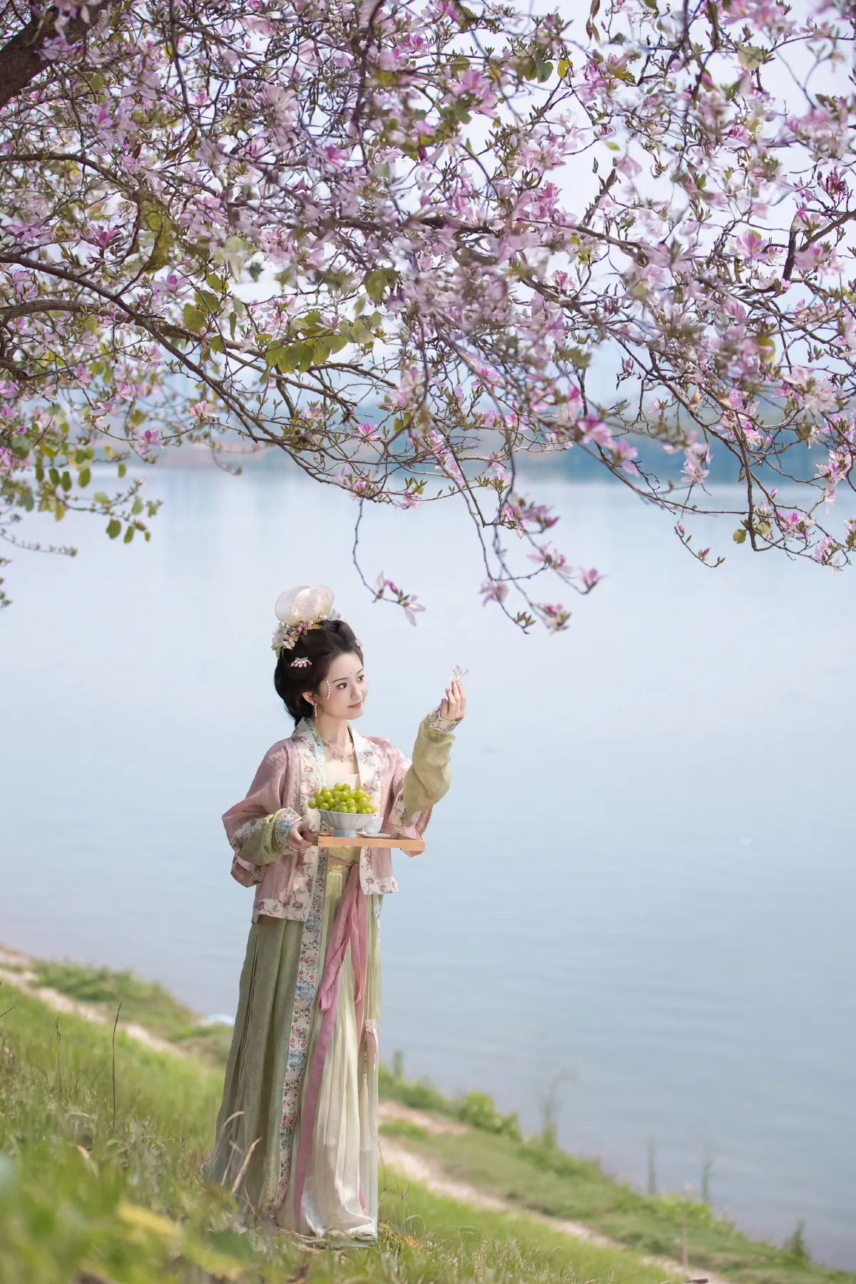 芳菲满袖