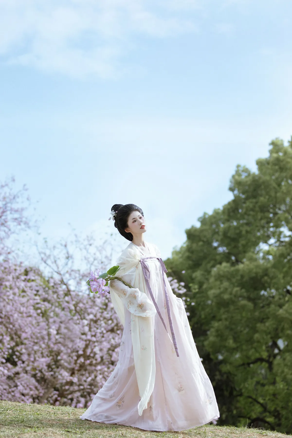 咏紫荆