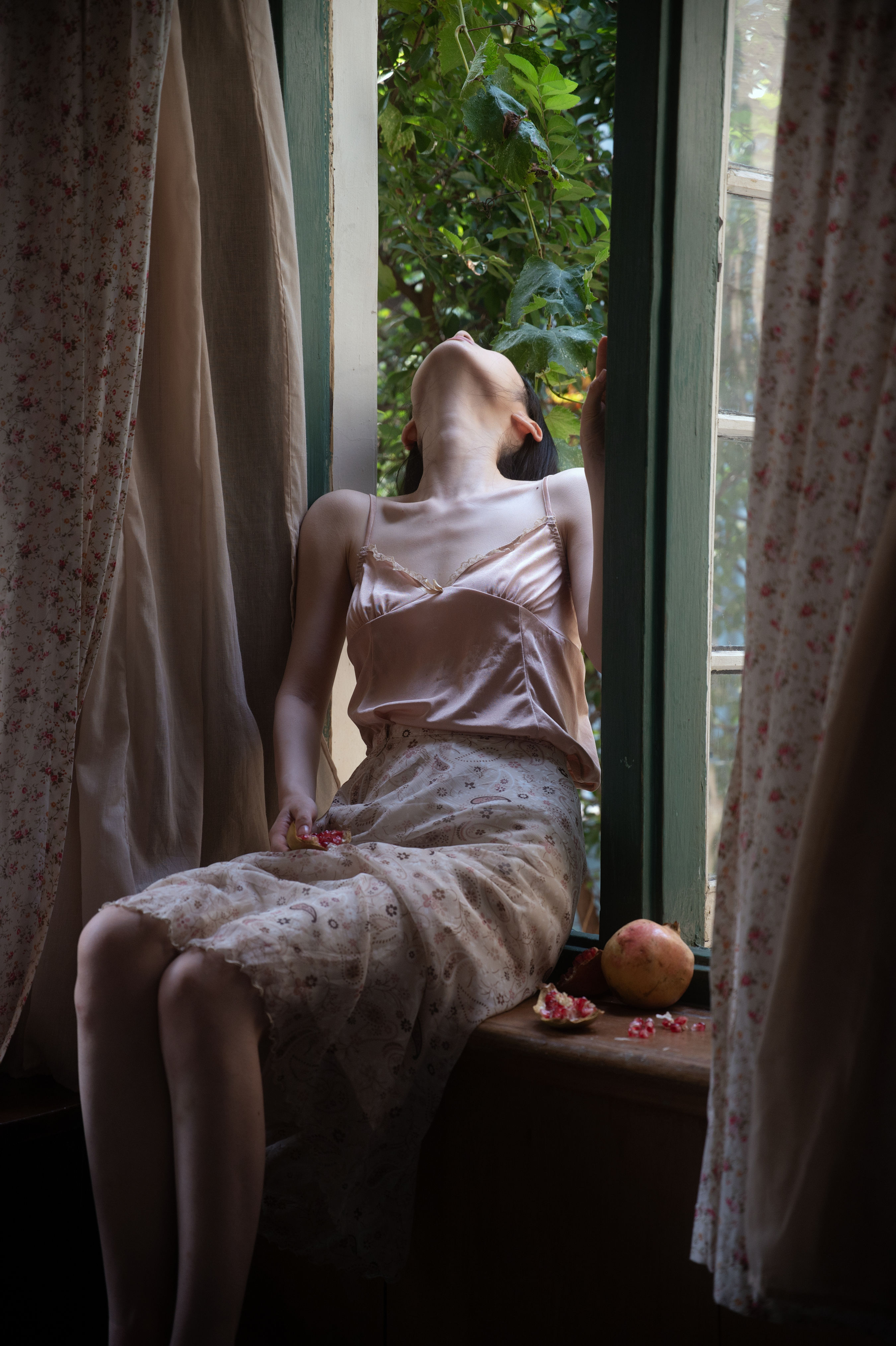 一只小黑王_tree《石榴》美图作品图片1
