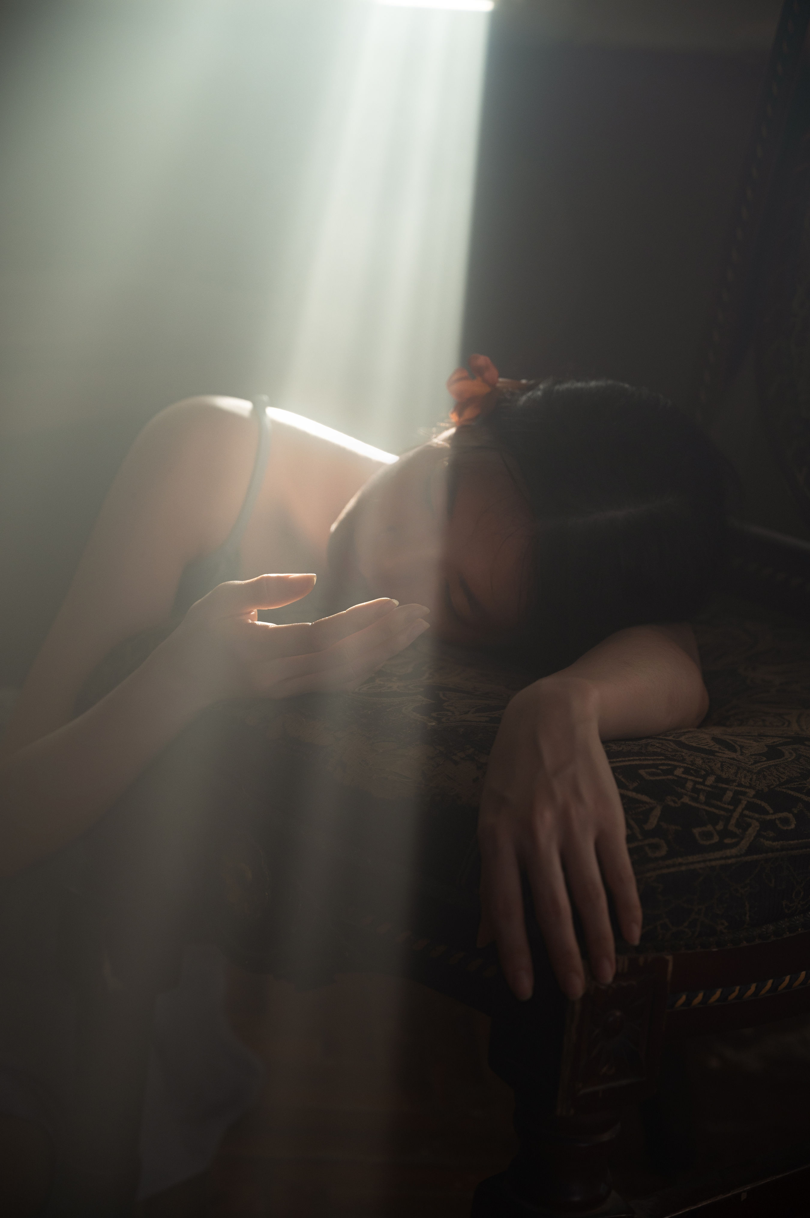一只小黑王_蔡景梵《凌霄花》美图作品图片1