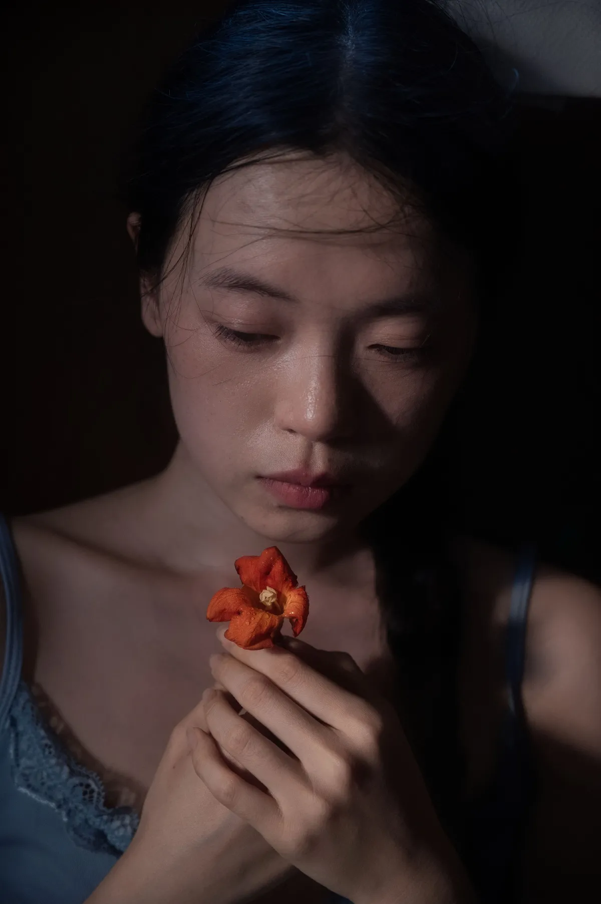 一只小黑王_蔡景梵《凌霄花》美图作品图片3