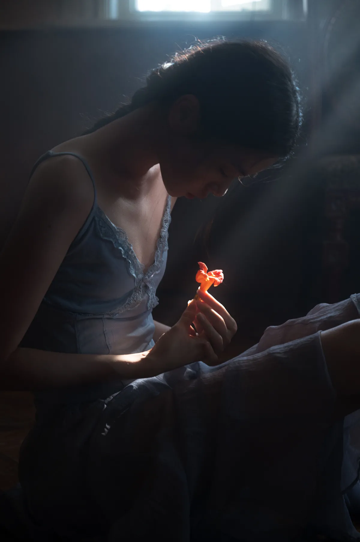 一只小黑王_蔡景梵《凌霄花》美图作品图片5