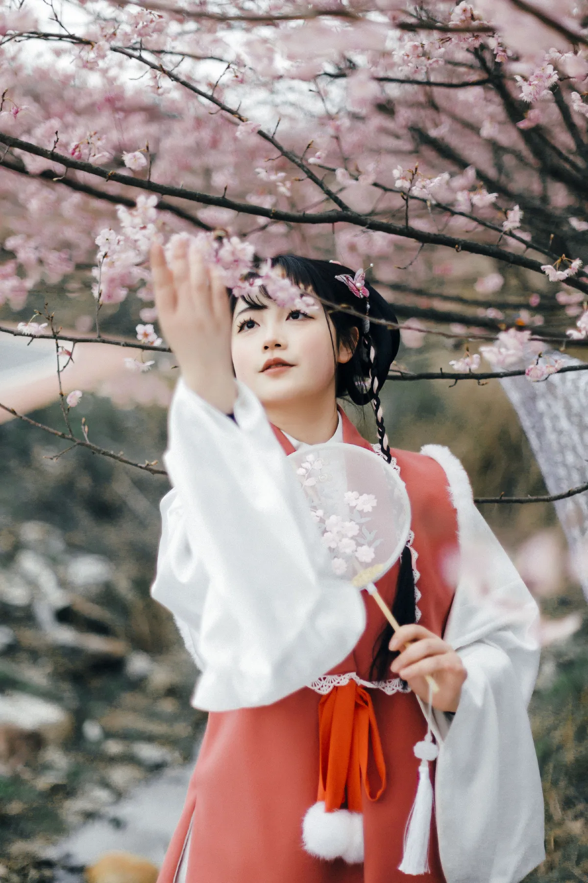 笨笨_-张张要开张-《赏春》美图作品图片1