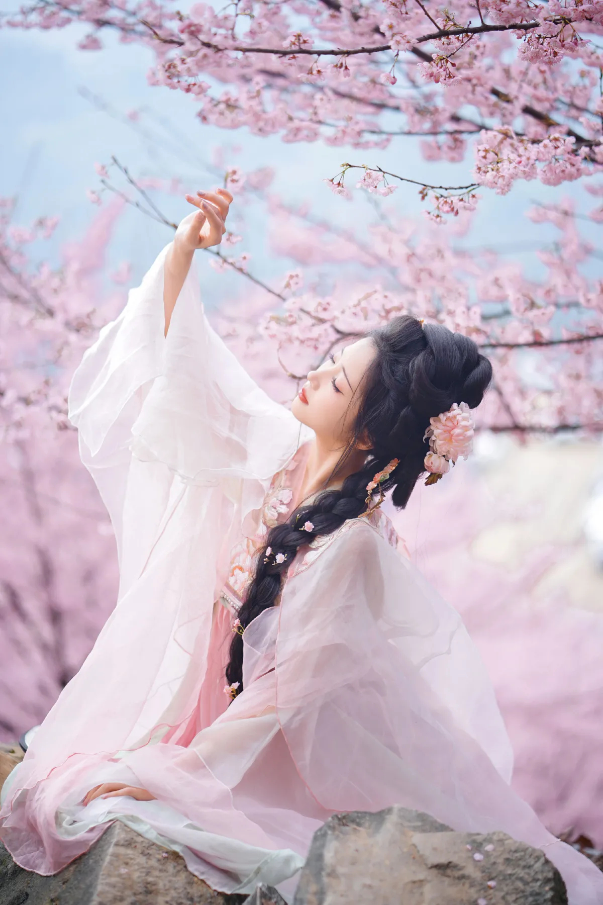 阿南_兔牙w《春日樱》美图作品图片1