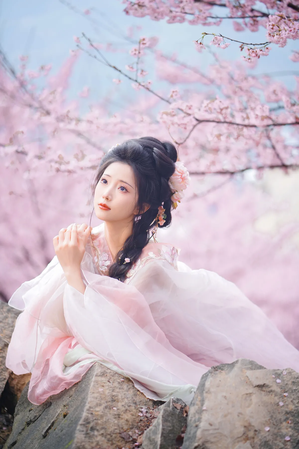 阿南_兔牙w《春日樱》美图作品图片2