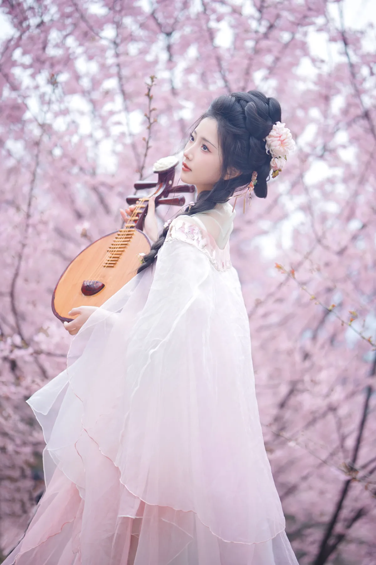 阿南_兔牙w《春日樱》美图作品图片4