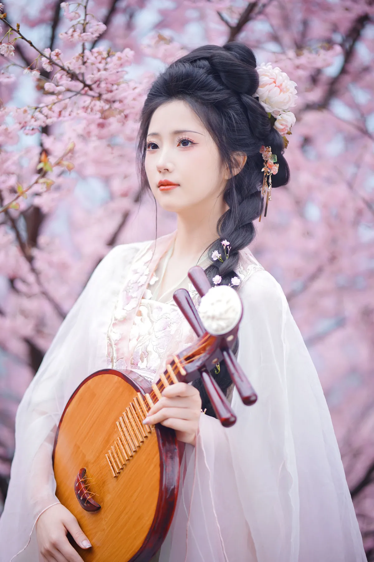 阿南_兔牙w《春日樱》美图作品图片5