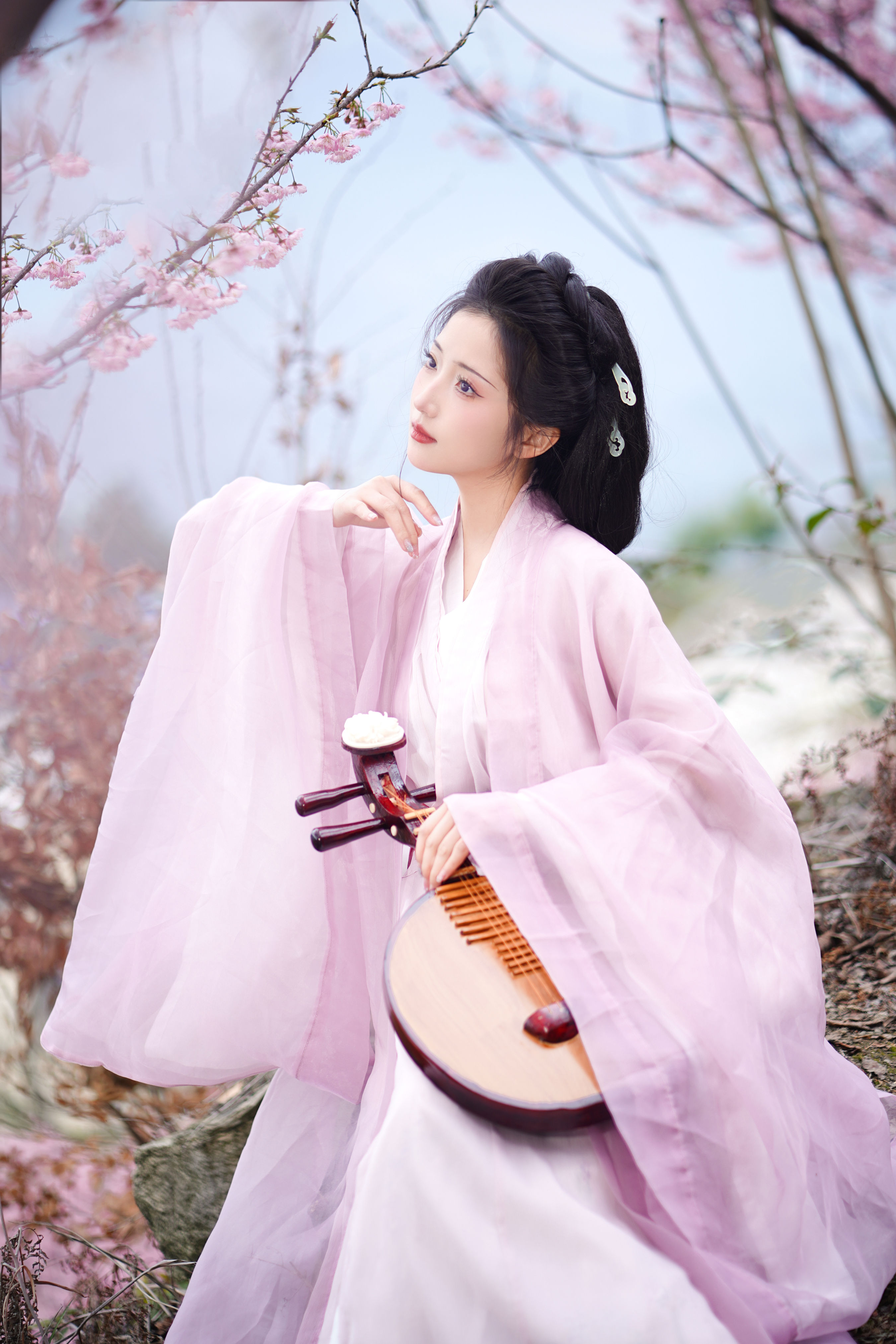 共赏繁花