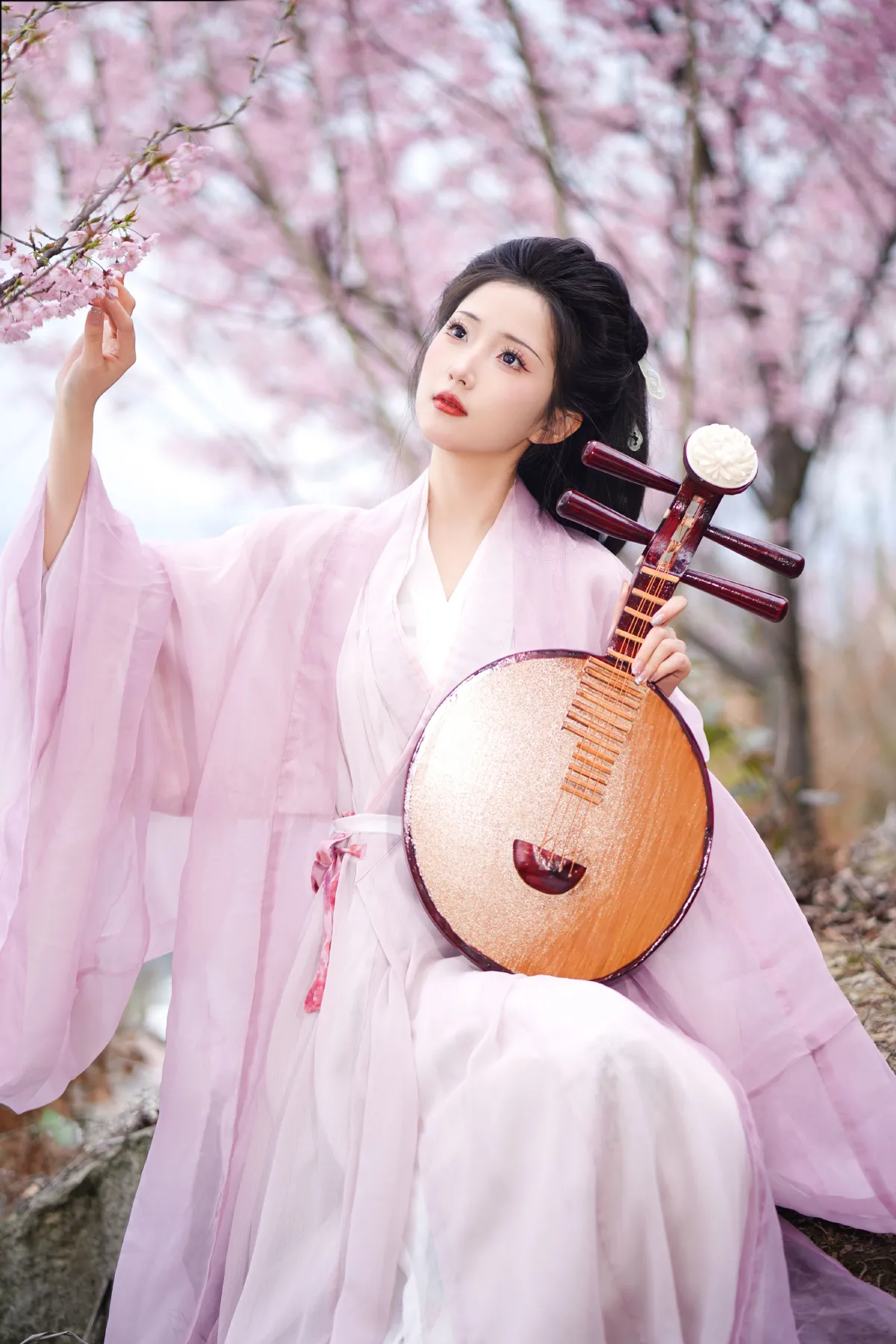 共赏繁花