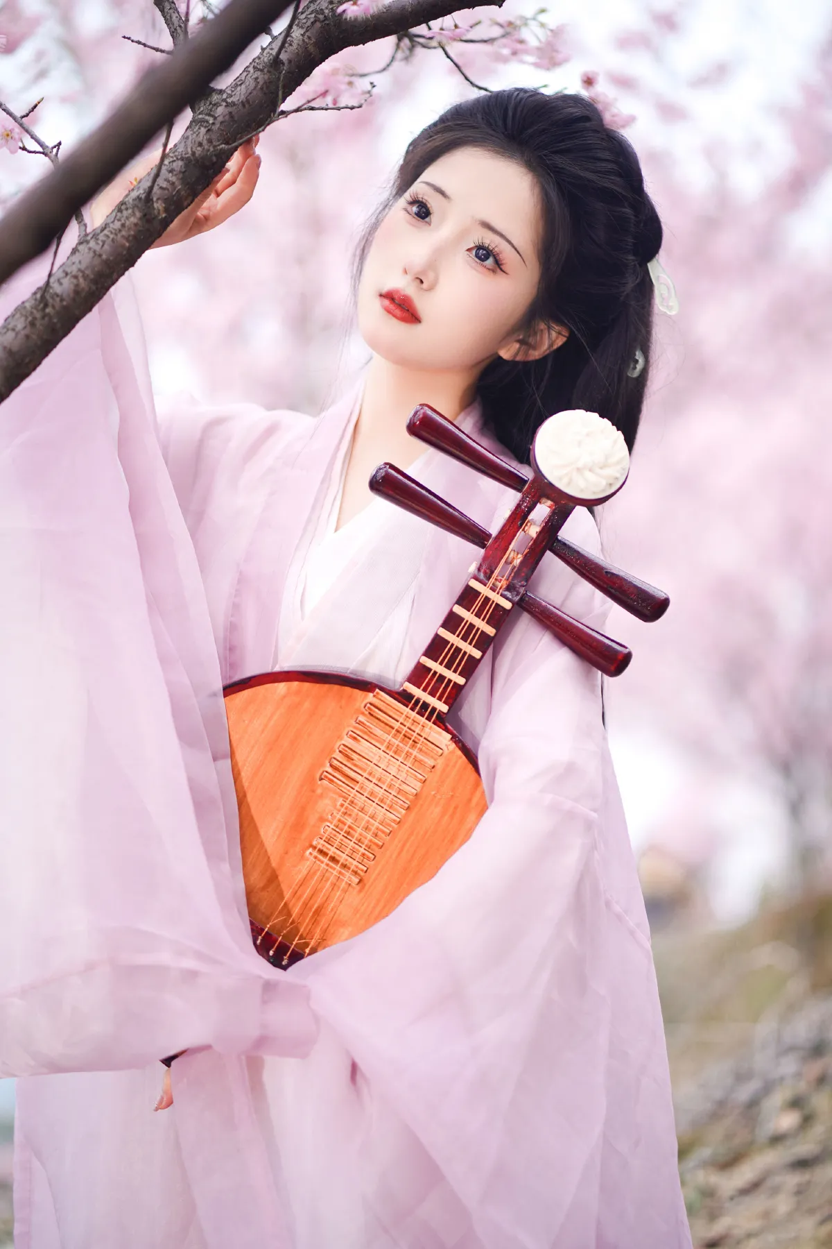 共赏繁花