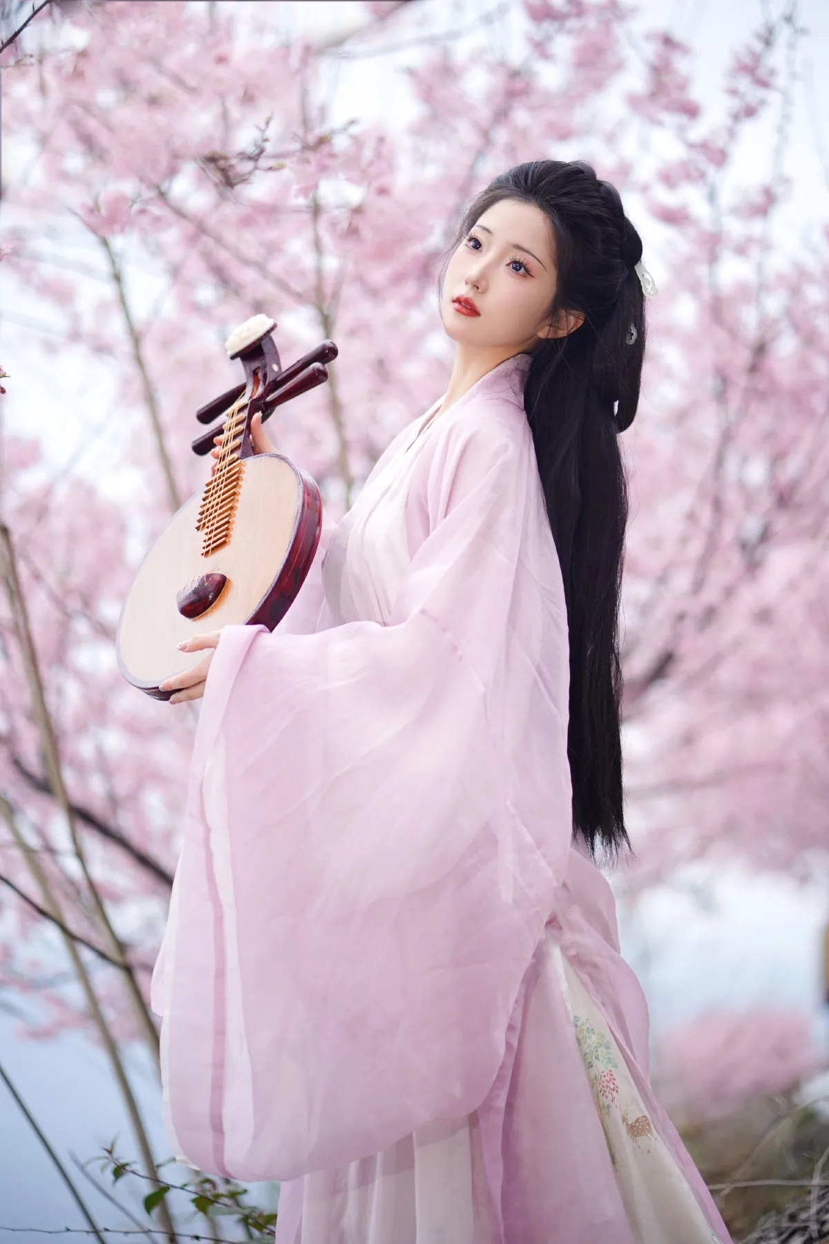 共赏繁花