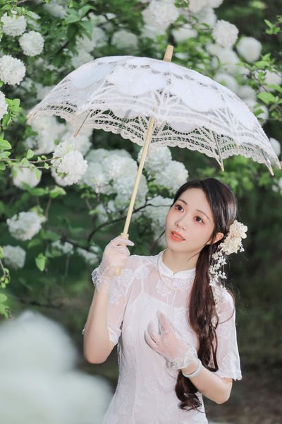 春日物语