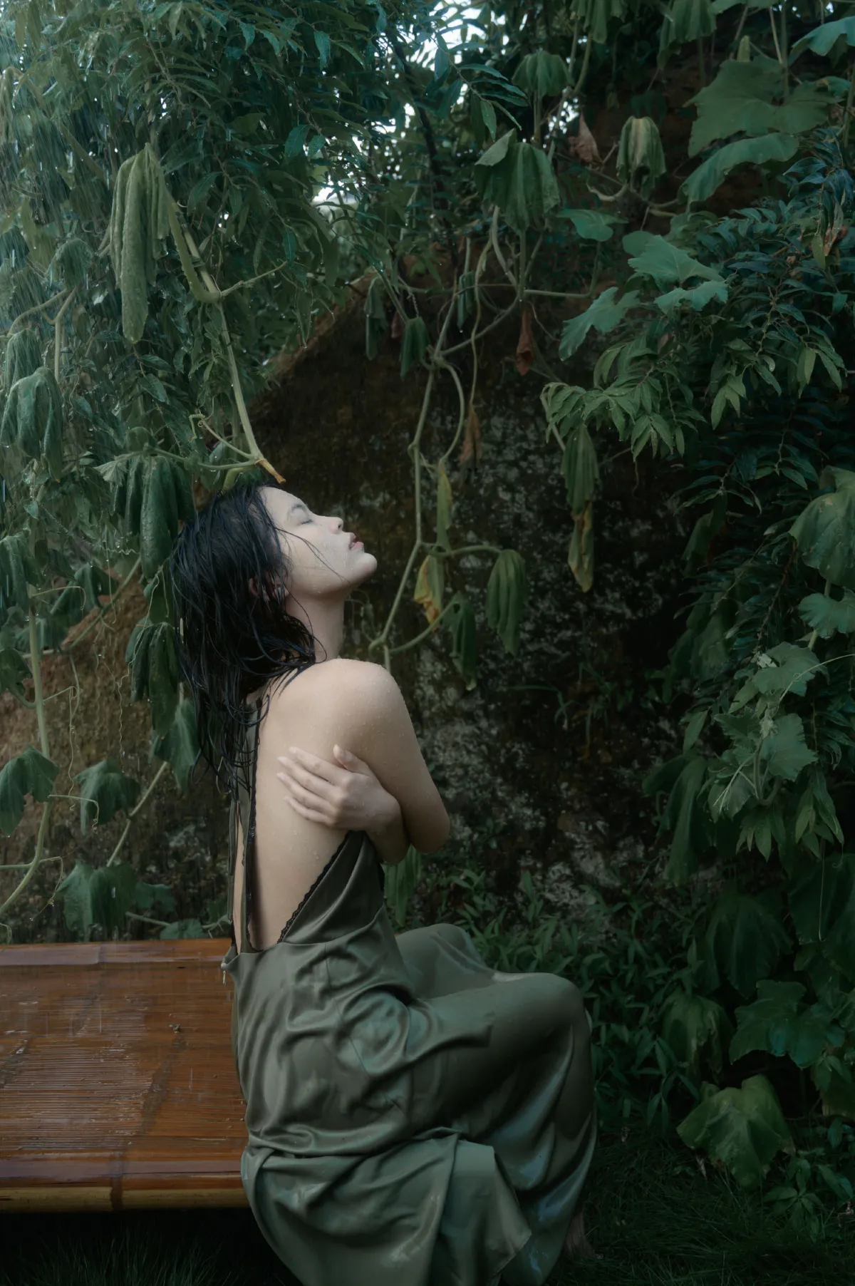 潮湿的夏