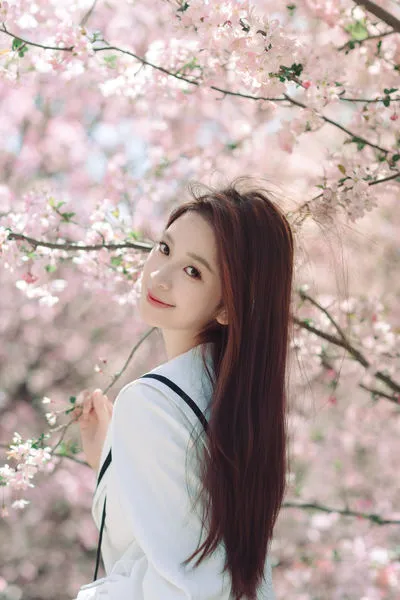 海棠花未眠
