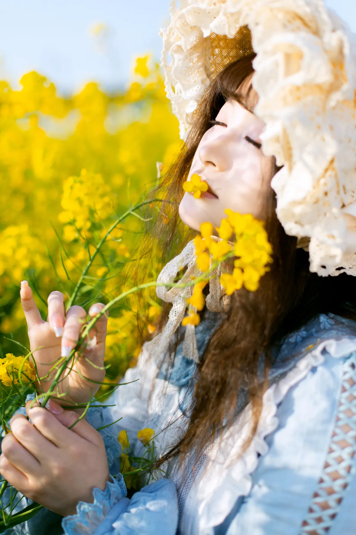 故事里的小黄花3