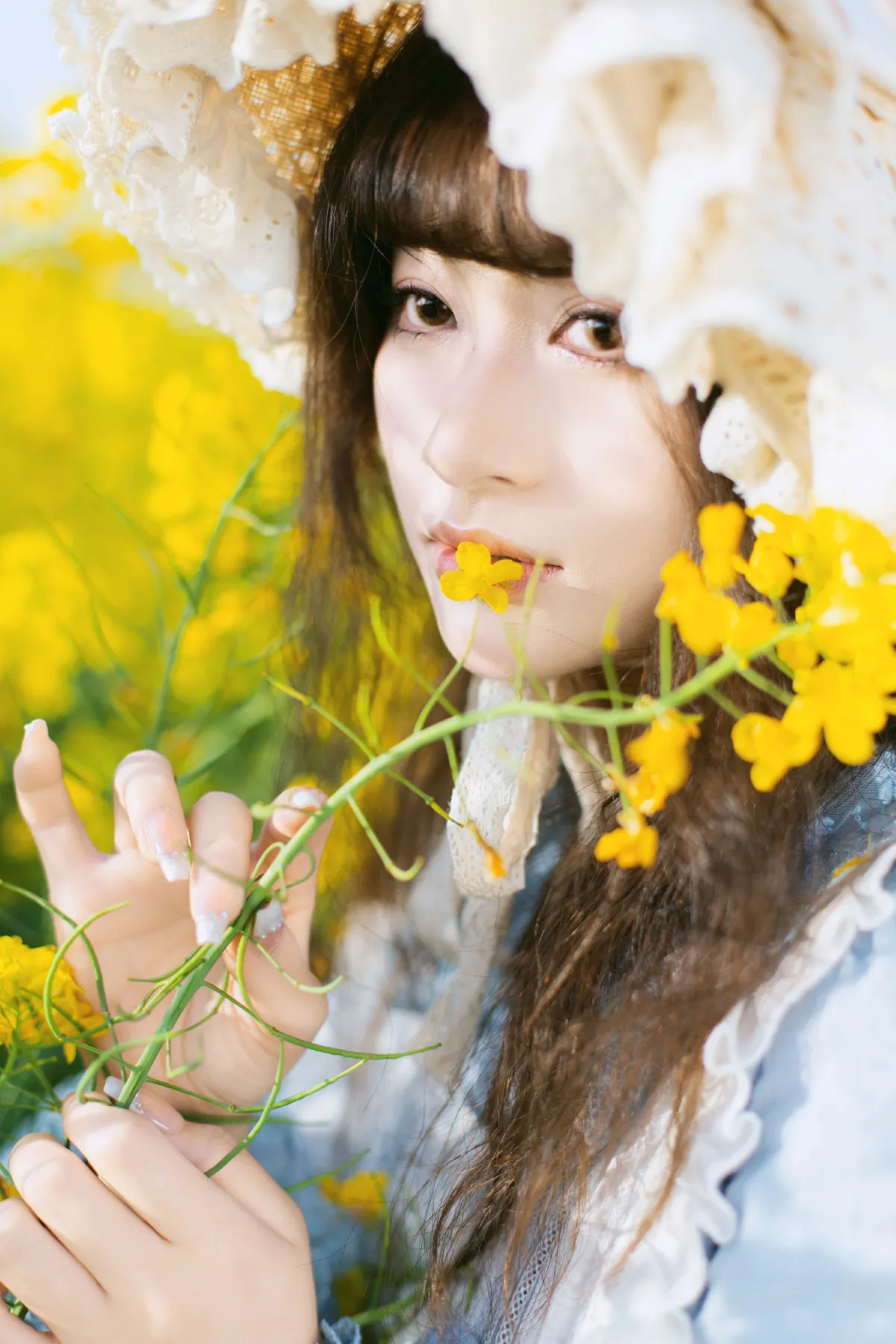 故事里的小黄花4