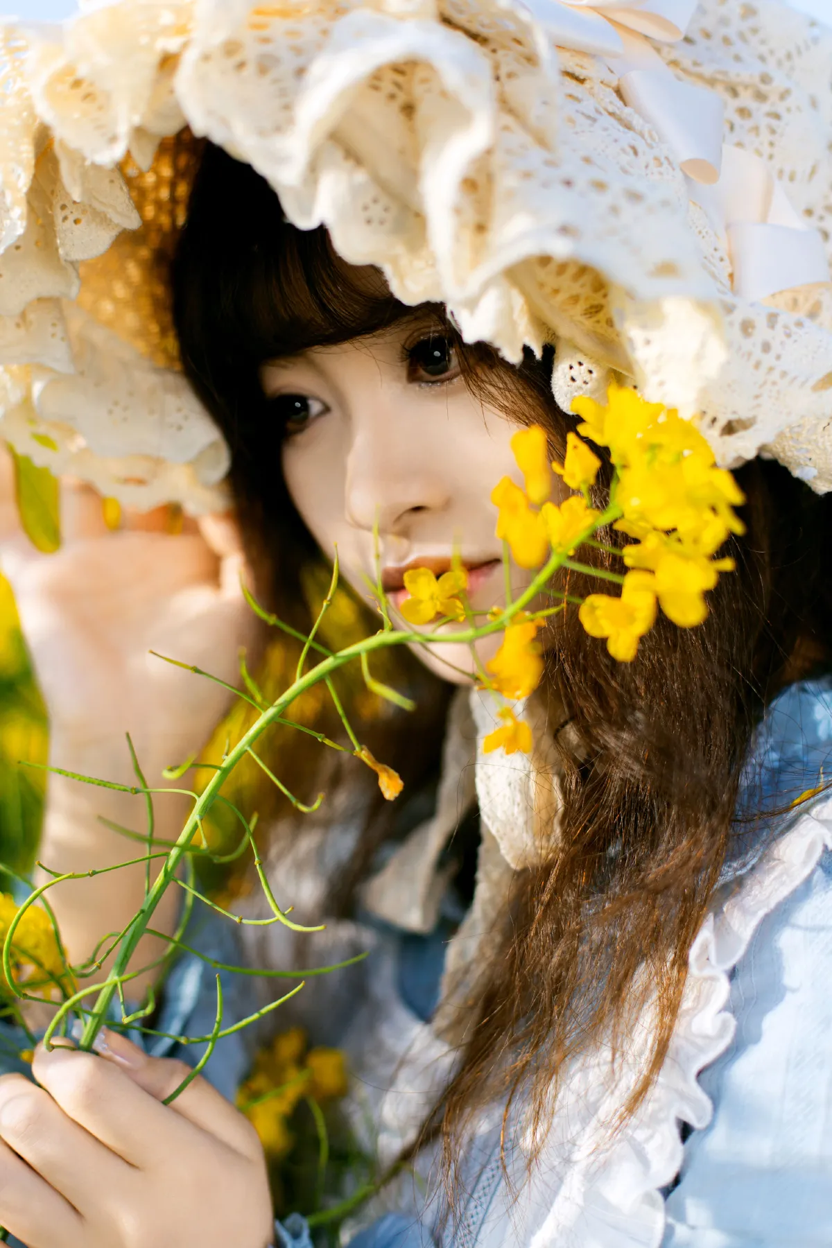 故事里的小黄花5