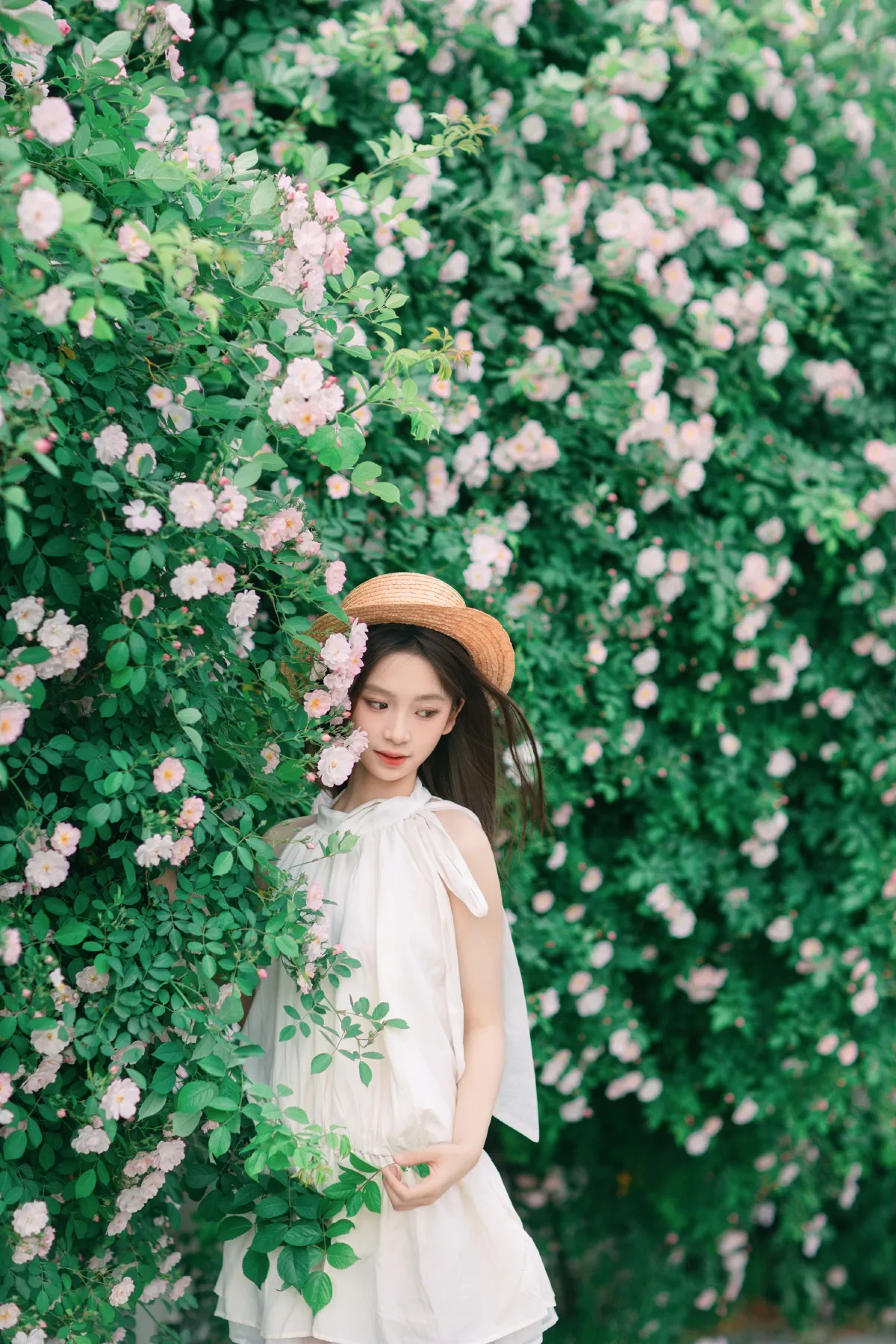 芥茉_Minejoin《4月蔷薇花》美图作品图片5