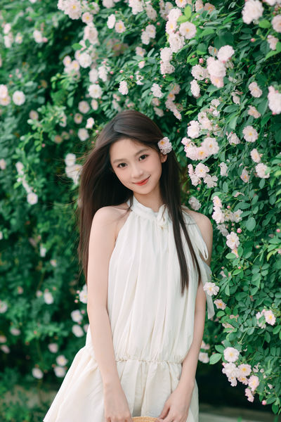 4月蔷薇花