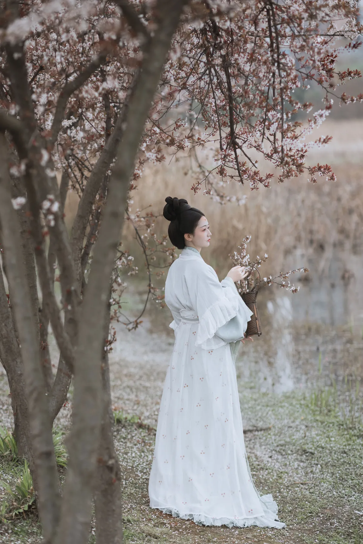 若寒Rock_辞云镜《探芳》美图作品图片1