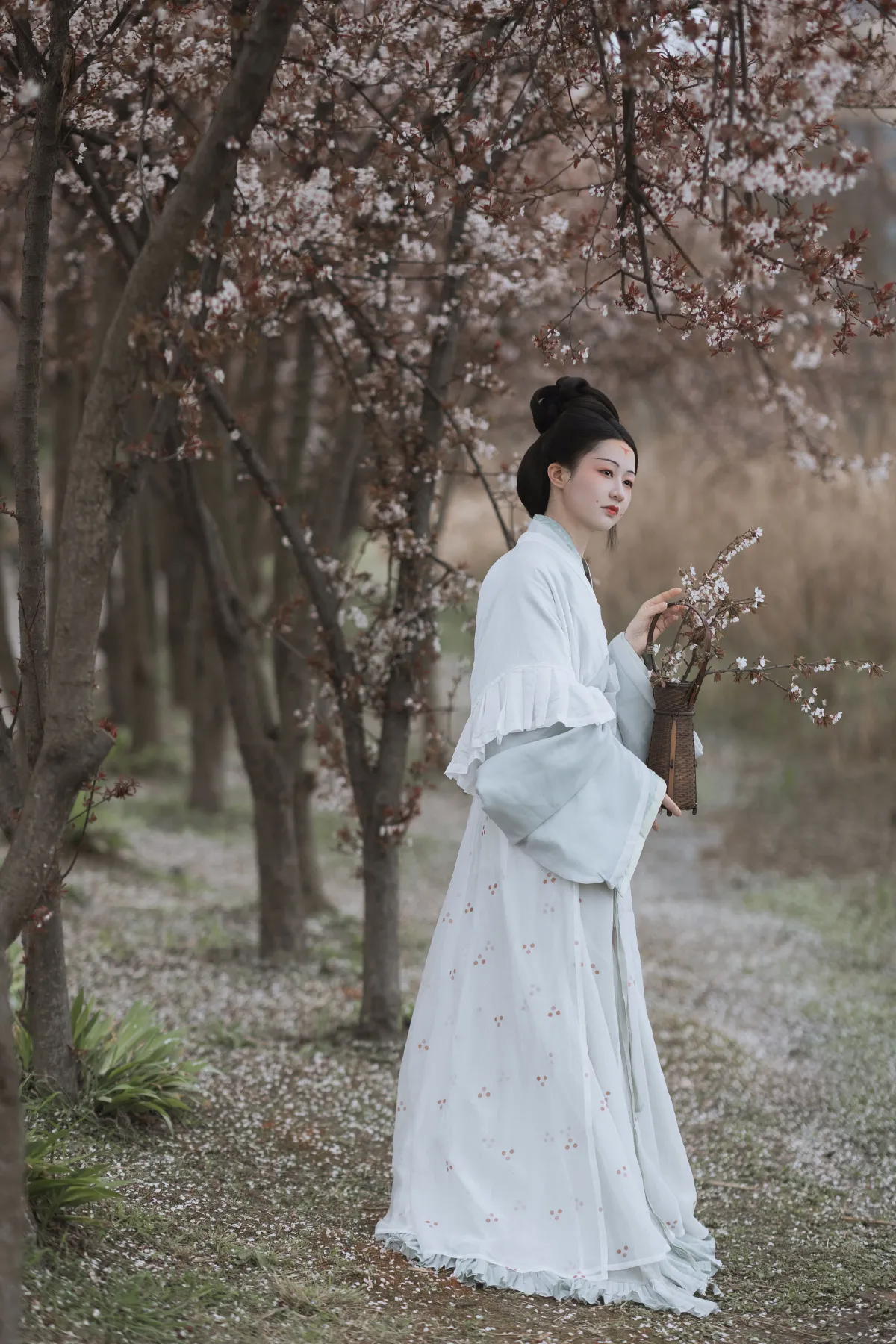 探芳