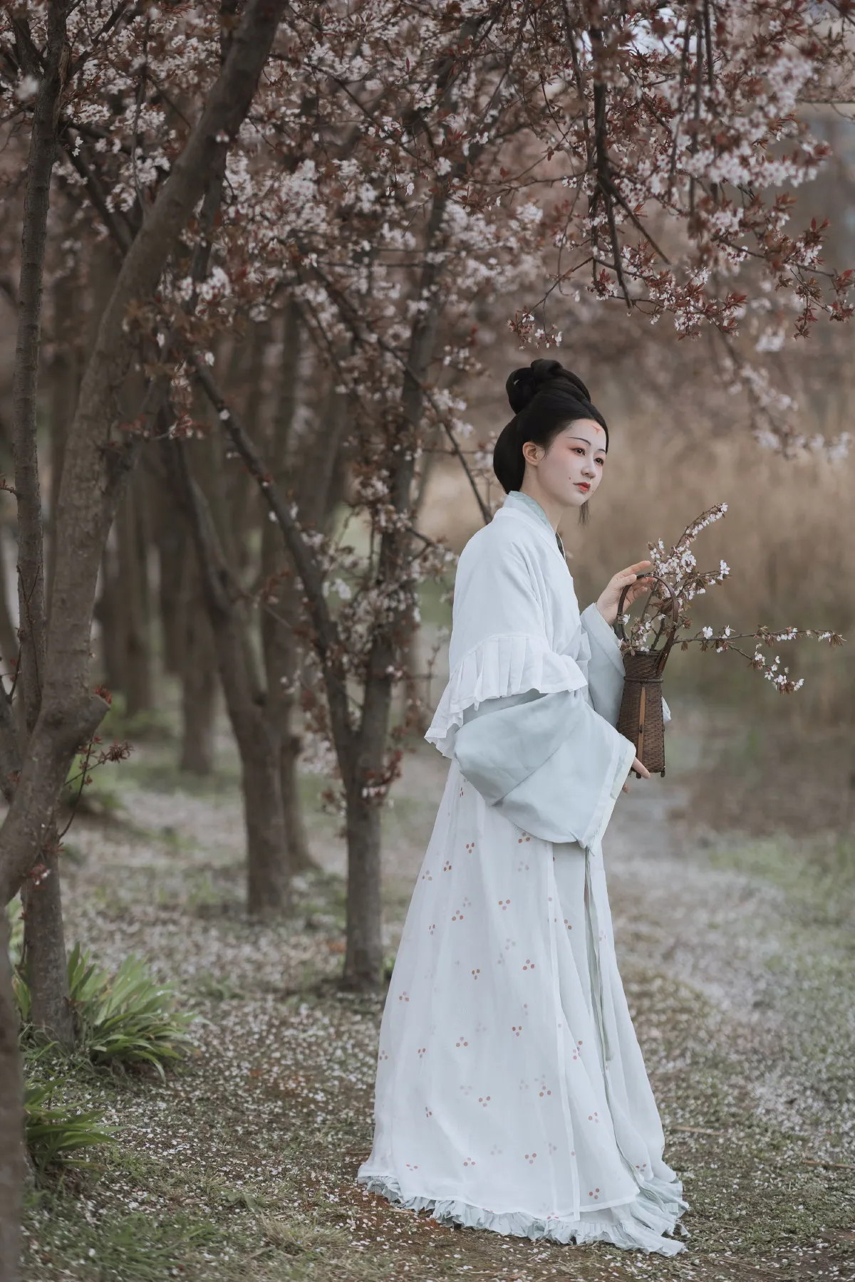 若寒Rock_辞云镜《探芳》美图作品图片2