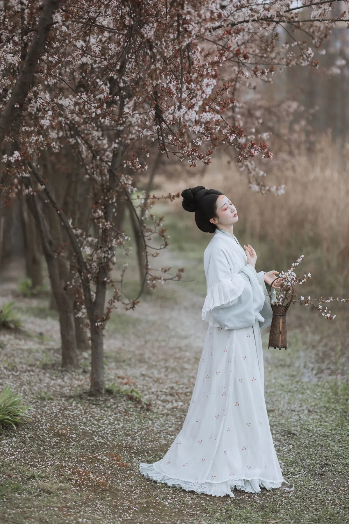 探芳