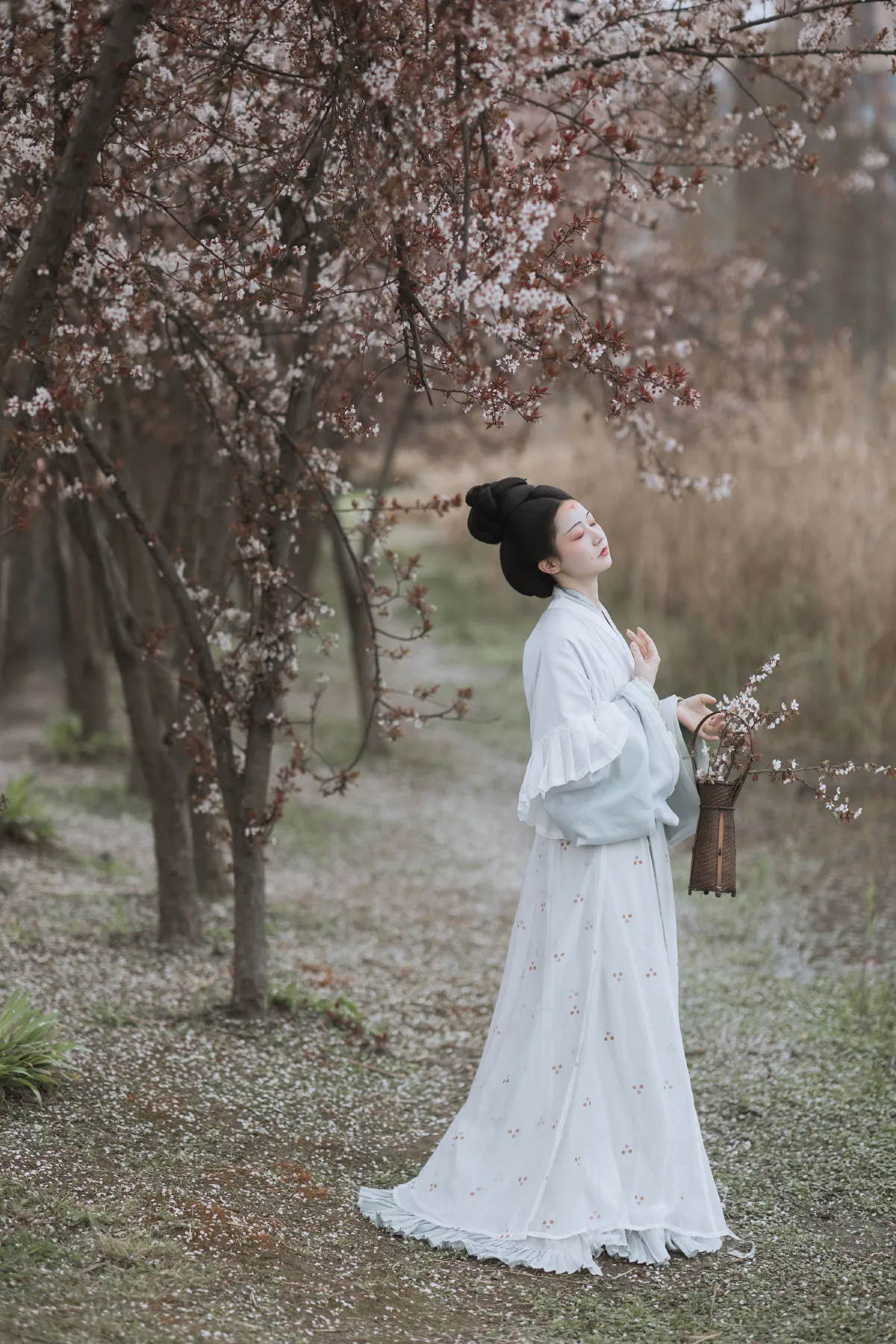 若寒Rock_辞云镜《探芳》美图作品图片3