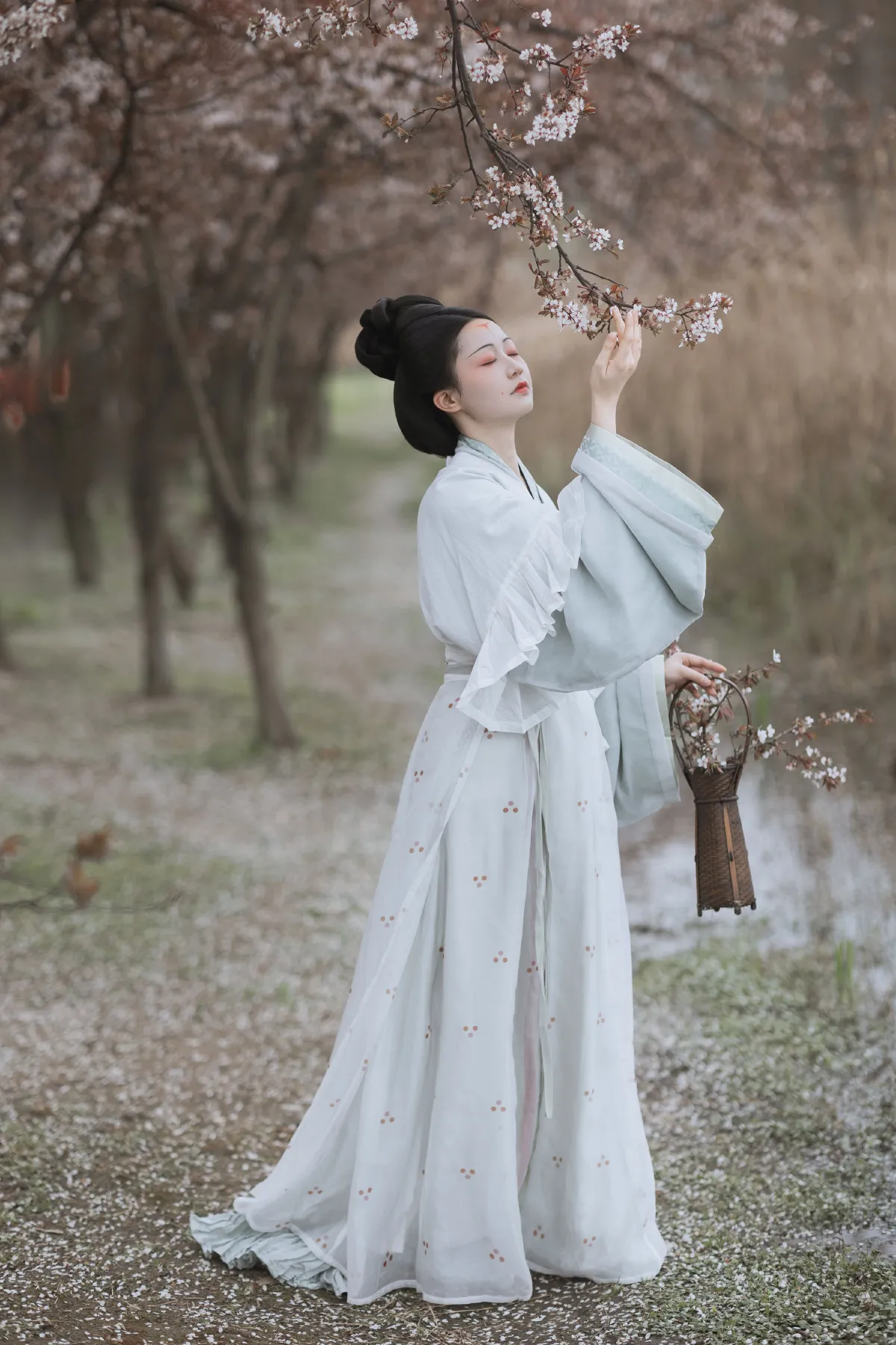 若寒Rock_辞云镜《探芳》美图作品图片5