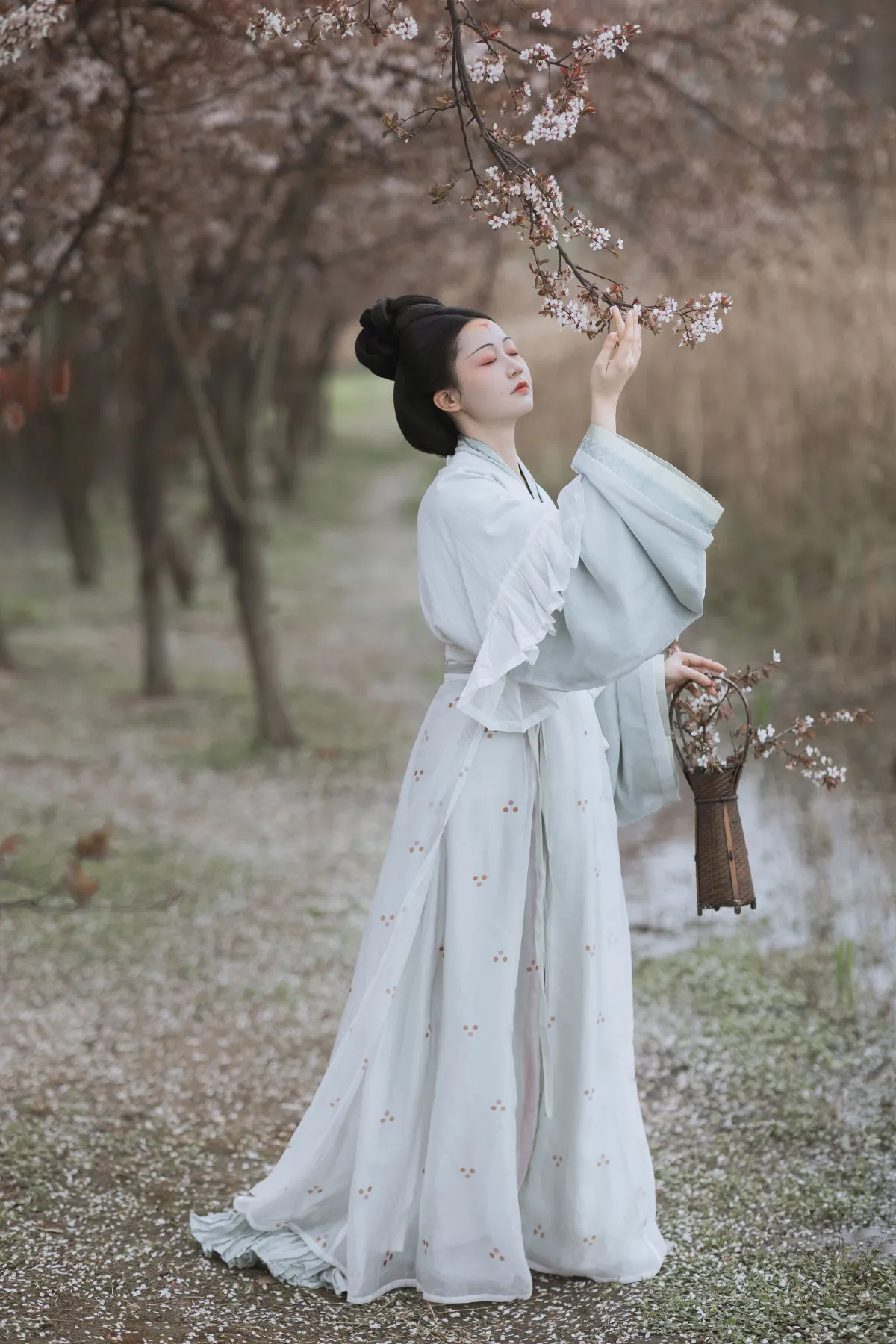探芳