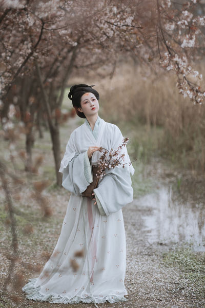 探芳