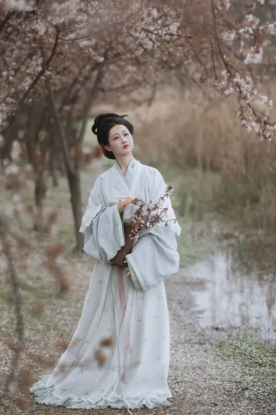 探芳